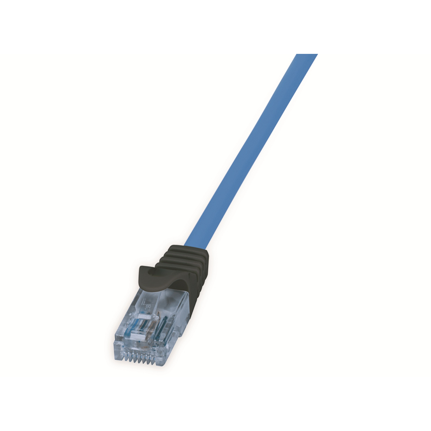 Niebieski kabel Ethernet z czarnym złączem na białym tle. Złącze jest ostre.