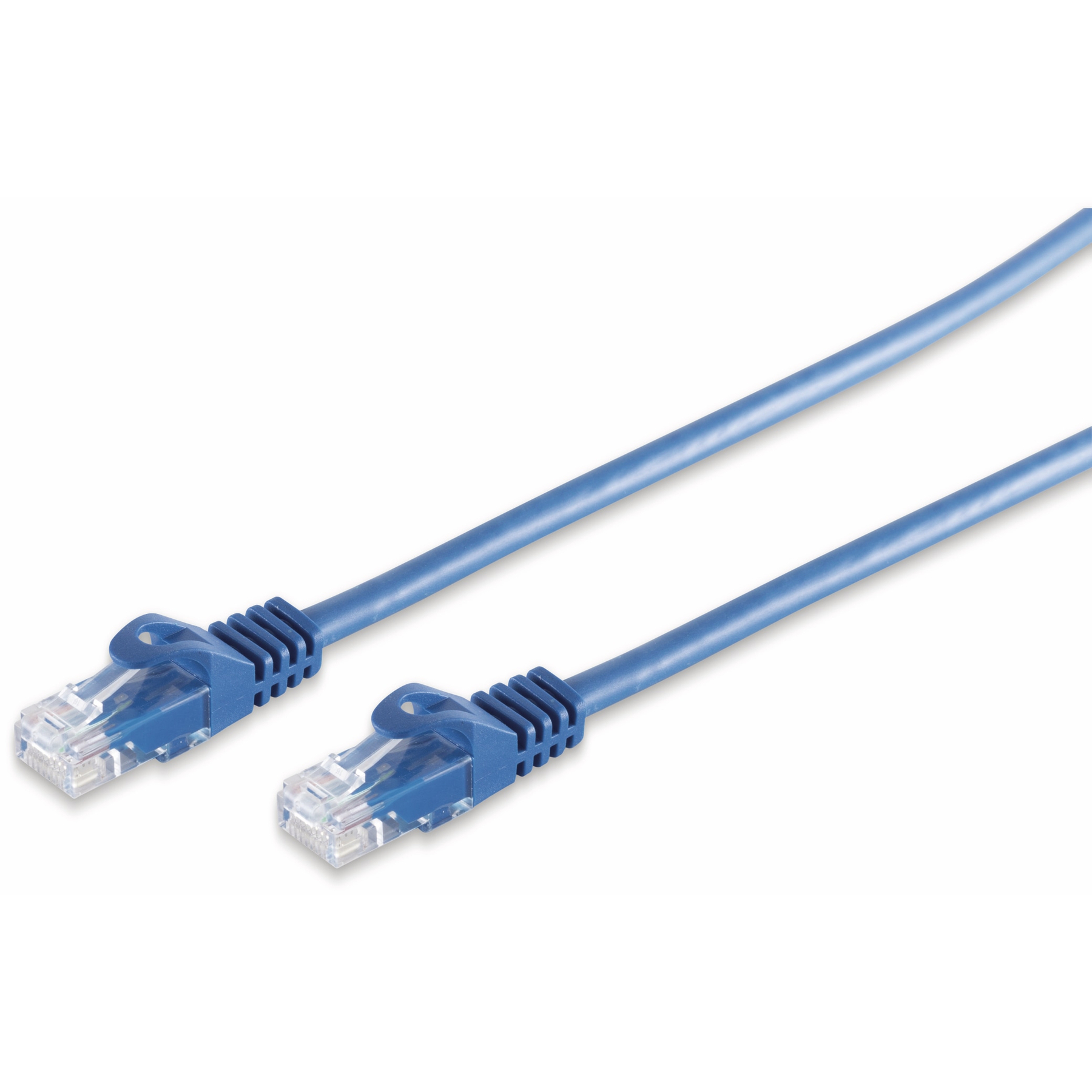 Zwei blaue Ethernet-Kabel mit transparenten Steckern auf weißem Hintergrund.