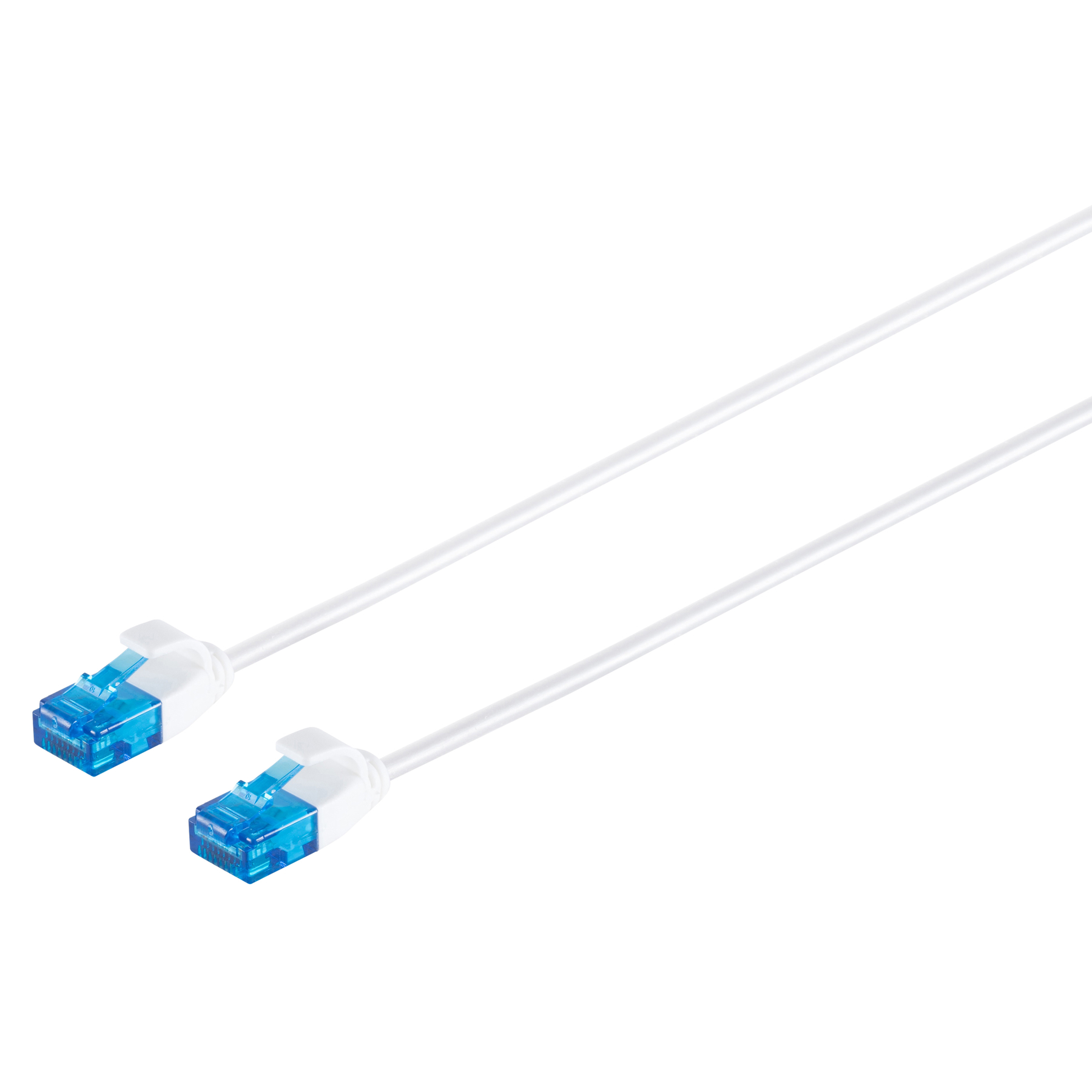 Due cavi di rete bianchi con connettori blu su sfondo bianco.