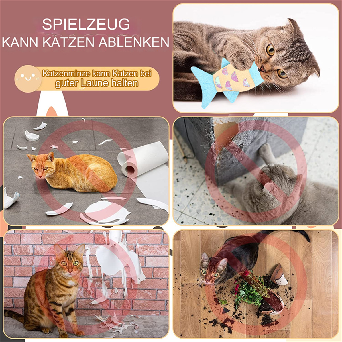 Katzen spielen mit Spielzeug und verursachen Schäden. Rote Kreuze markieren verbotene Aktionen.