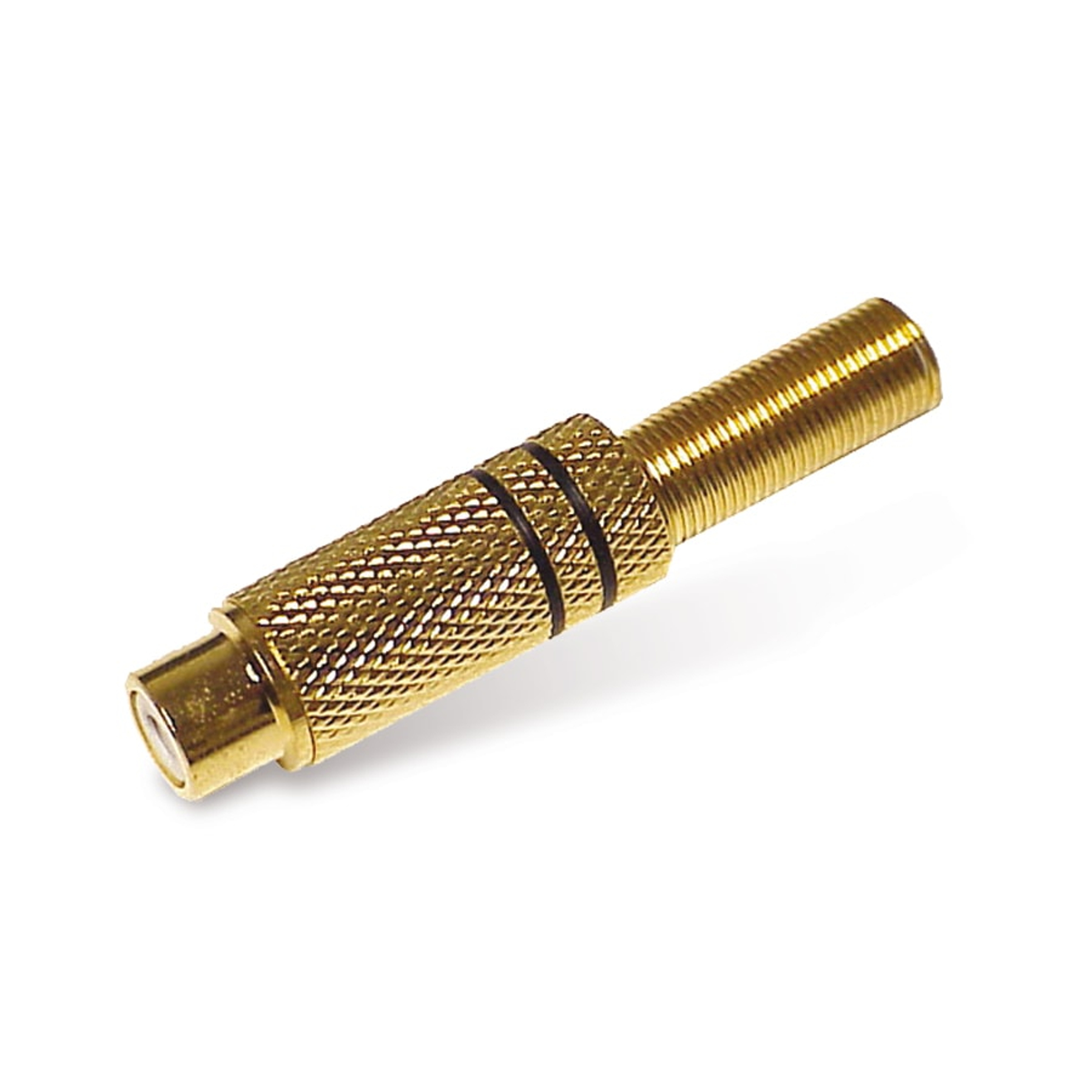 Goldfarbener Cinch-Stecker. Zylindrischer Körper mit Gewinde und zentralem Stift.