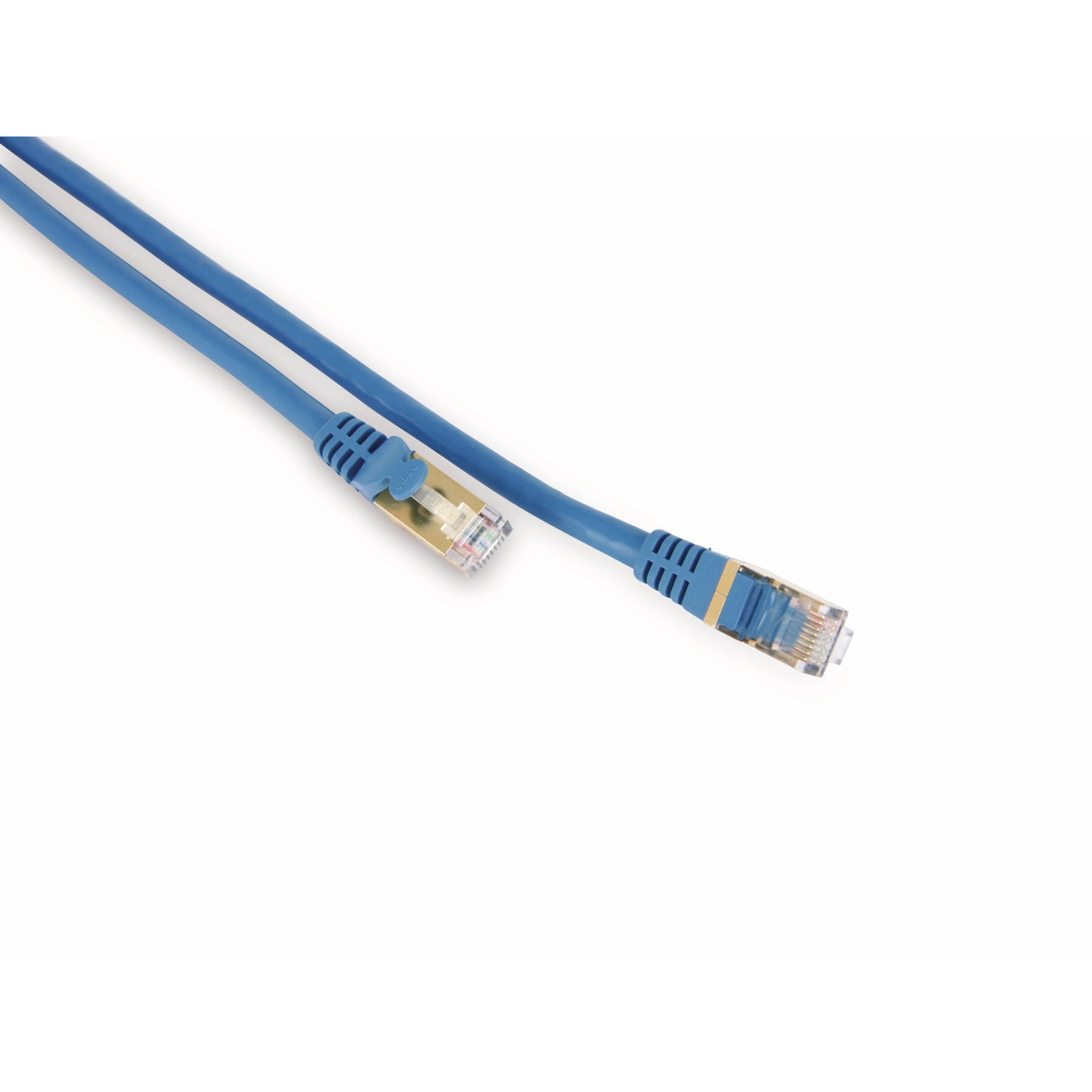 Due cavi Ethernet blu con connettori ad ogni estremità, su sfondo bianco.