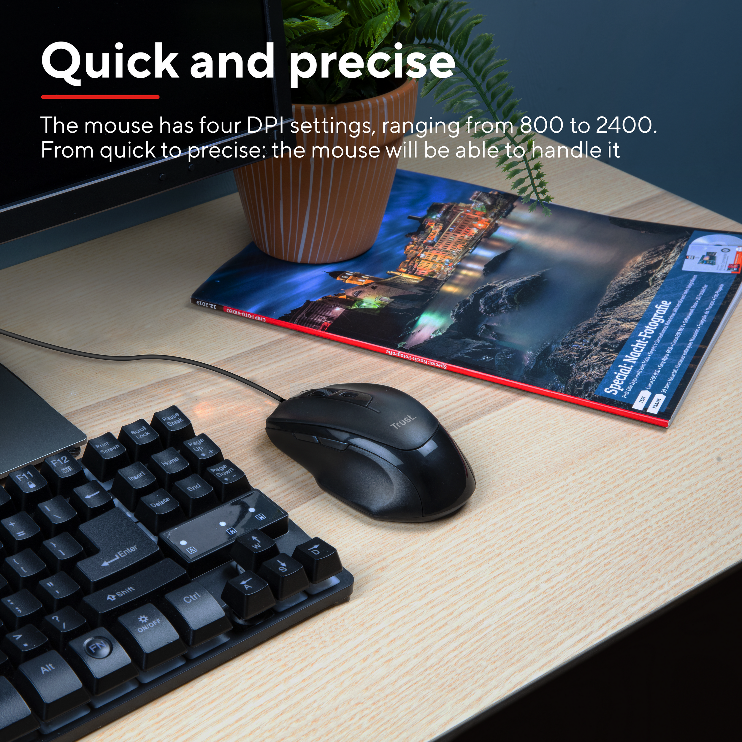 Czarna mysz, klawiatura i roślina.