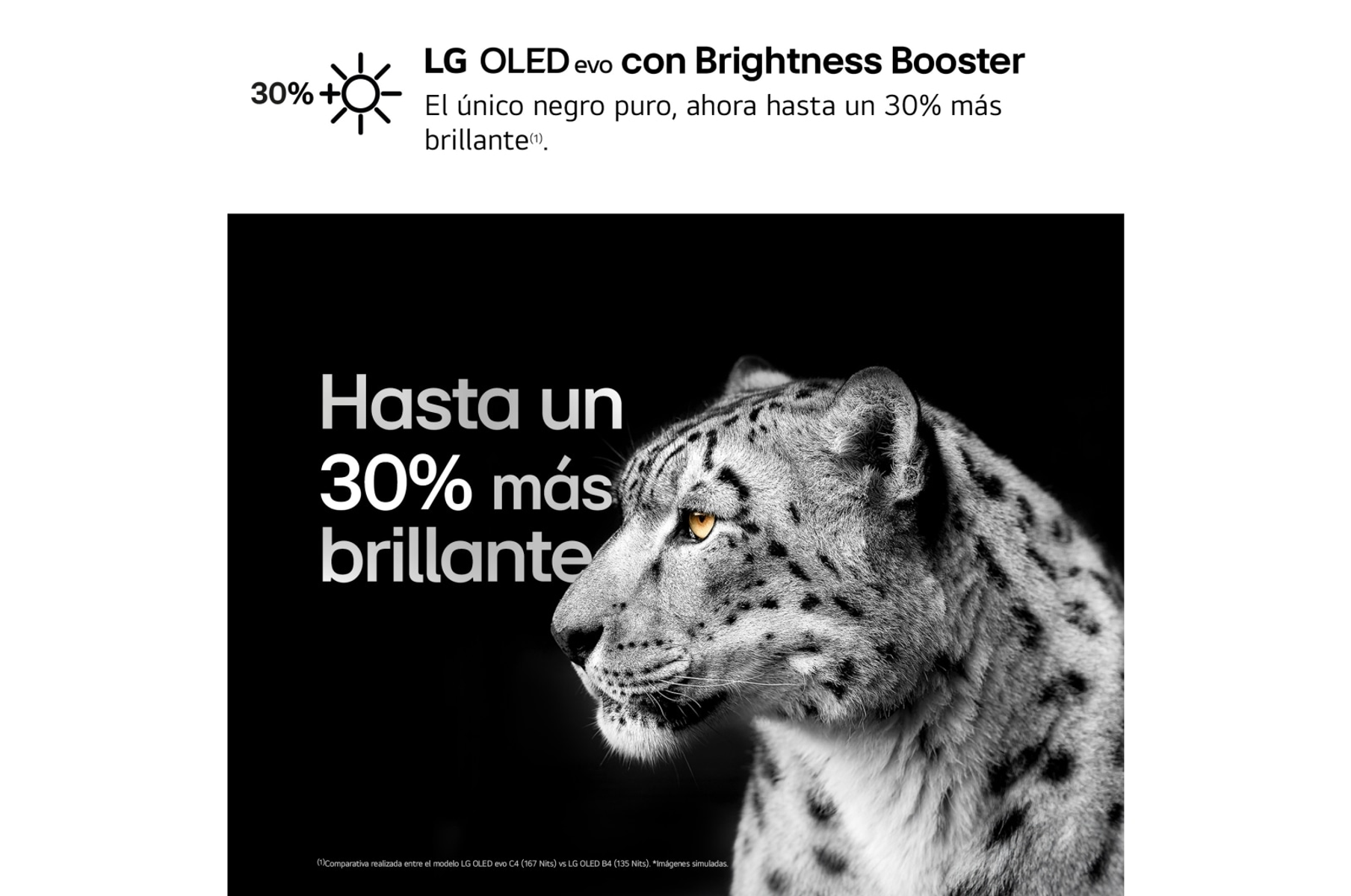 Imagen en blanco y negro de un leopardo con texto sobre brillo. Fondo negro.