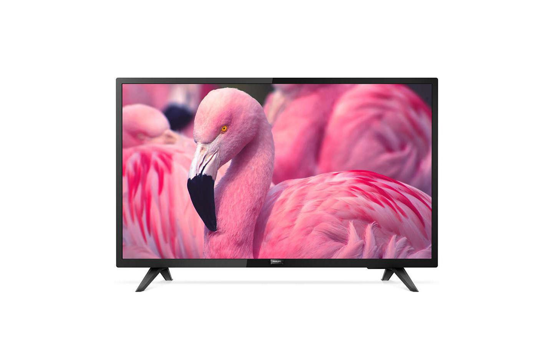 Un televisor Philips que muestra un primer plano de un flamenco con plumas rosas.