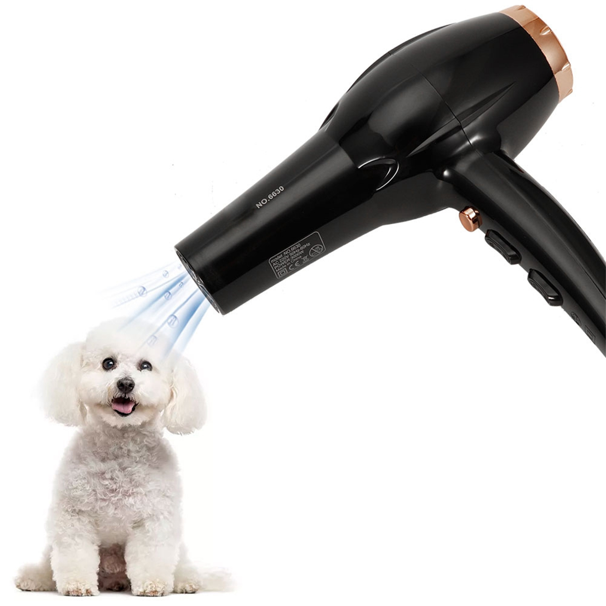 Ein schwarzer Haartrockner trocknet das Fell eines kleinen weißen Hundes. Der Hund ist glücklich, der Hintergrund weiß.