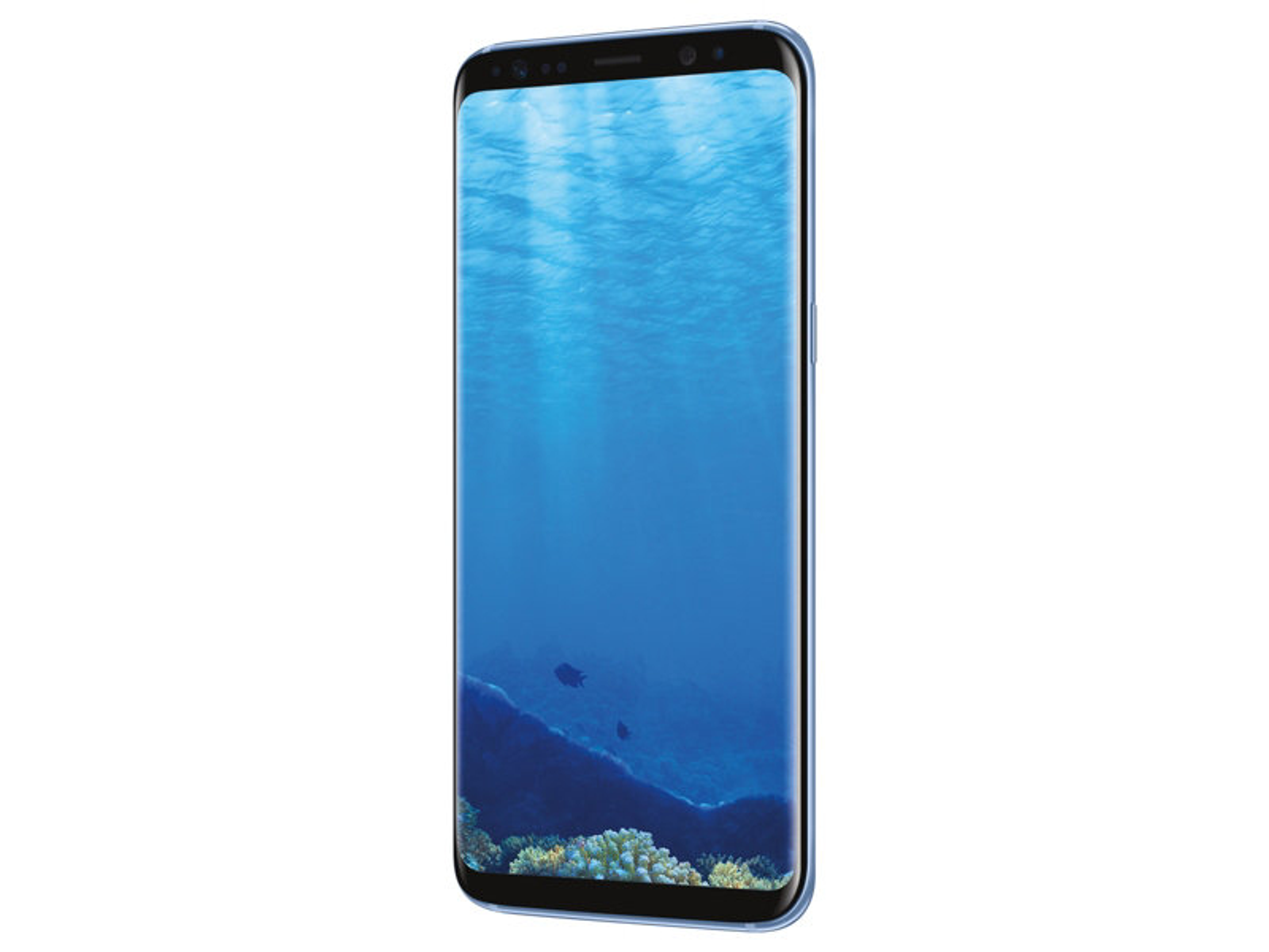 Ein Smartphone mit einer Unterwasserszene auf dem Bildschirm, vor weißem Hintergrund.