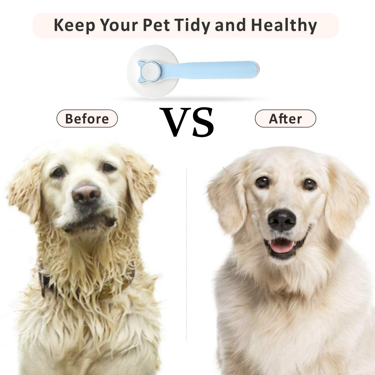 Golden Retriever vor und nach der Pflege, zeigt ein sauberes Aussehen.