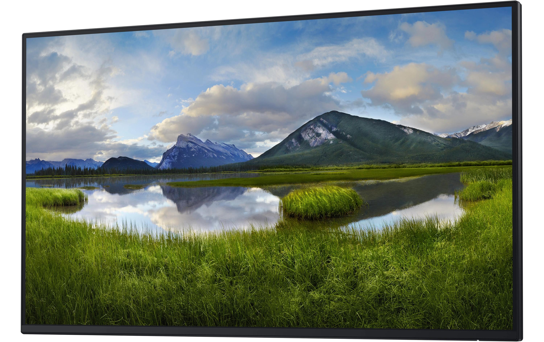Duży monitor wyświetlający krajobraz górski z wodą i trawą.