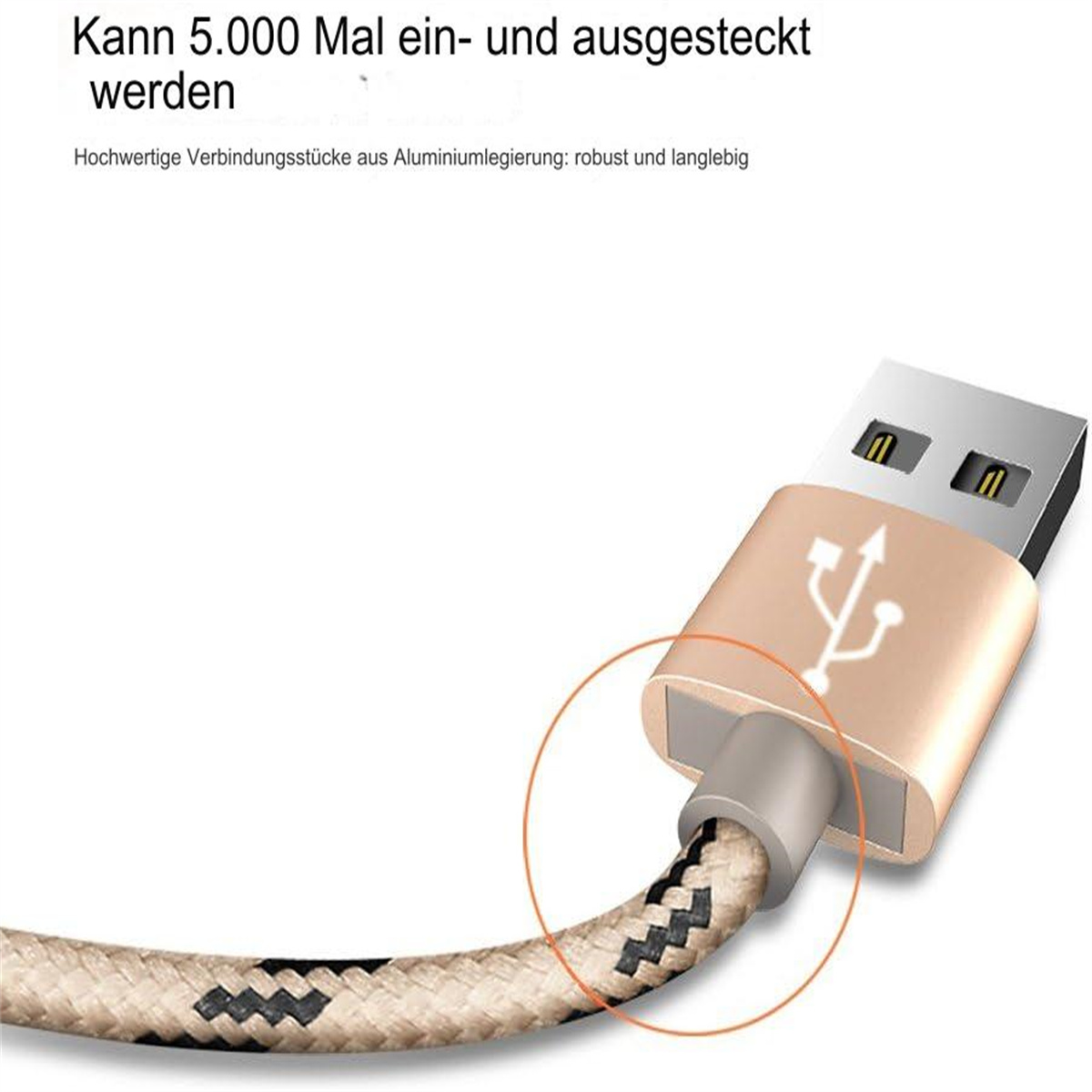 Goldener USB-Kabelstecker, mit Text zum 5000-maligen Einstecken.