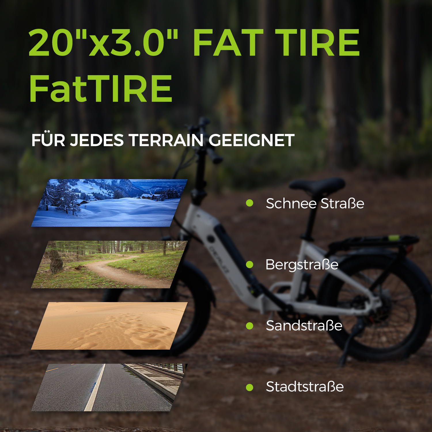 Ein E-Bike wird mit Text gezeigt, der anzeigt, dass es für verschiedene Terrains geeignet ist: Schnee, Berg, Sand und Stadt.