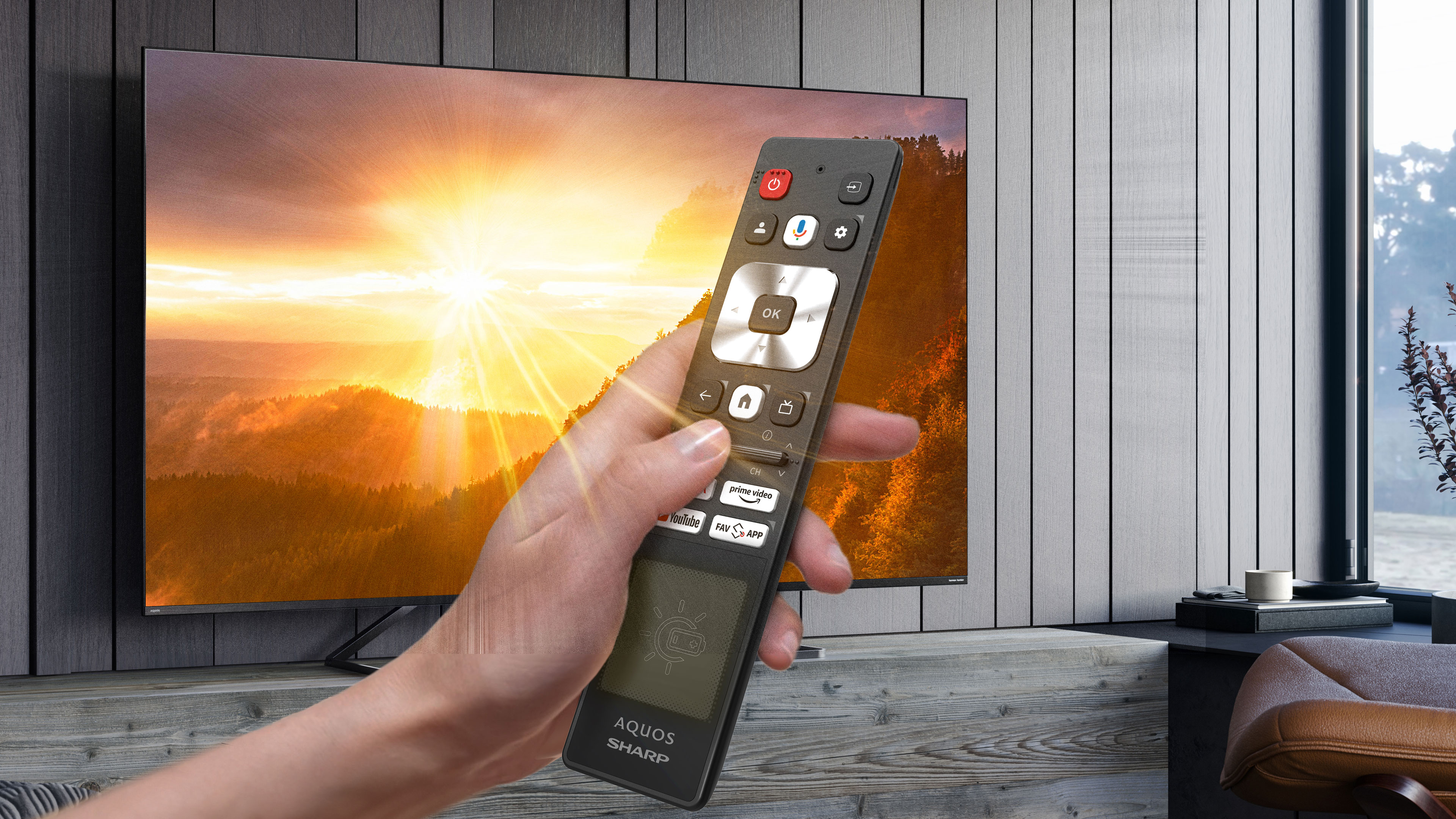 Hand, die eine TV-Fernbedienung hält. Der Fernseher zeigt eine Landschaftsszene eines Sonnenuntergangs.