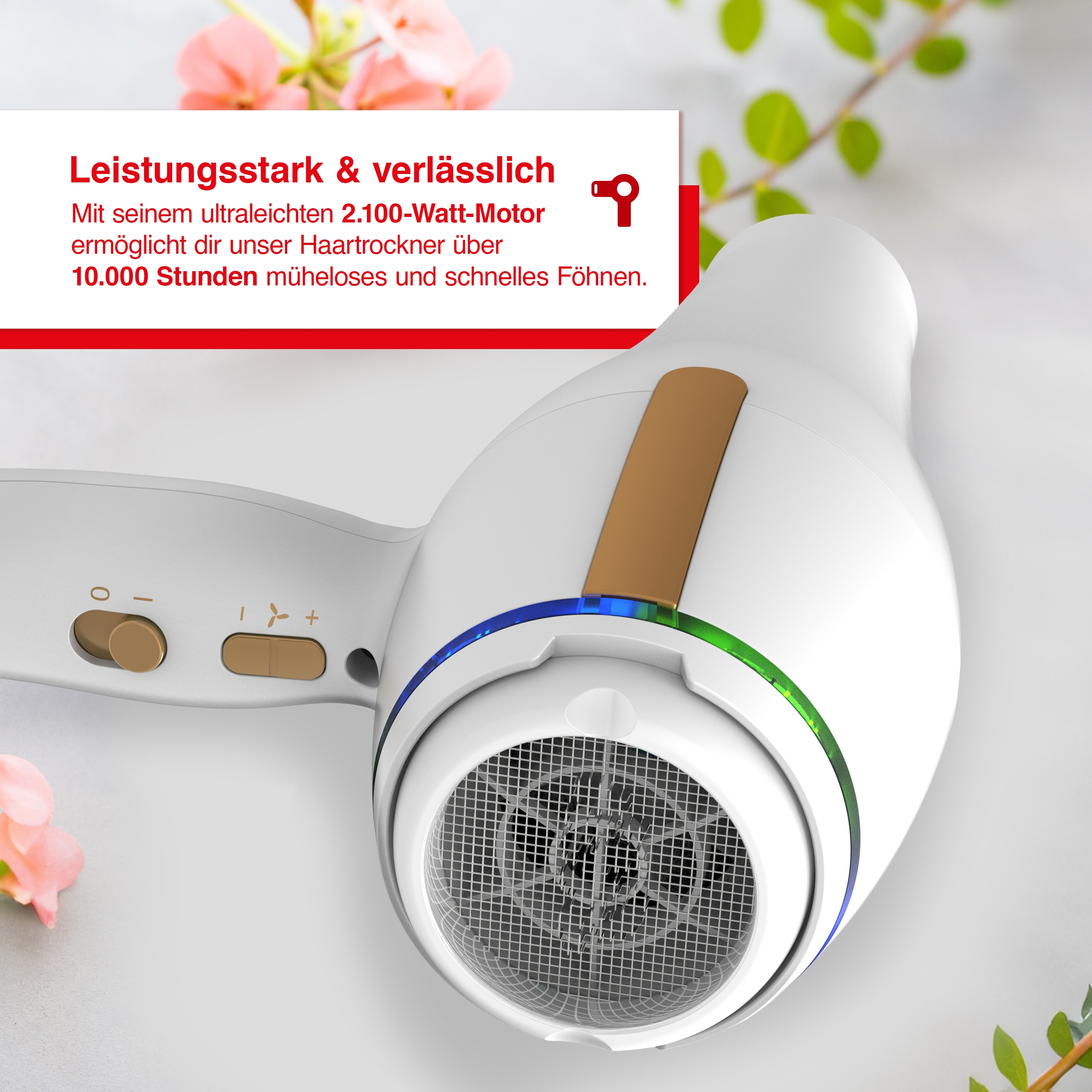 Weißer Haartrockner mit goldenen Akzenten und einem silbernen Netz, umgeben von Blumen.