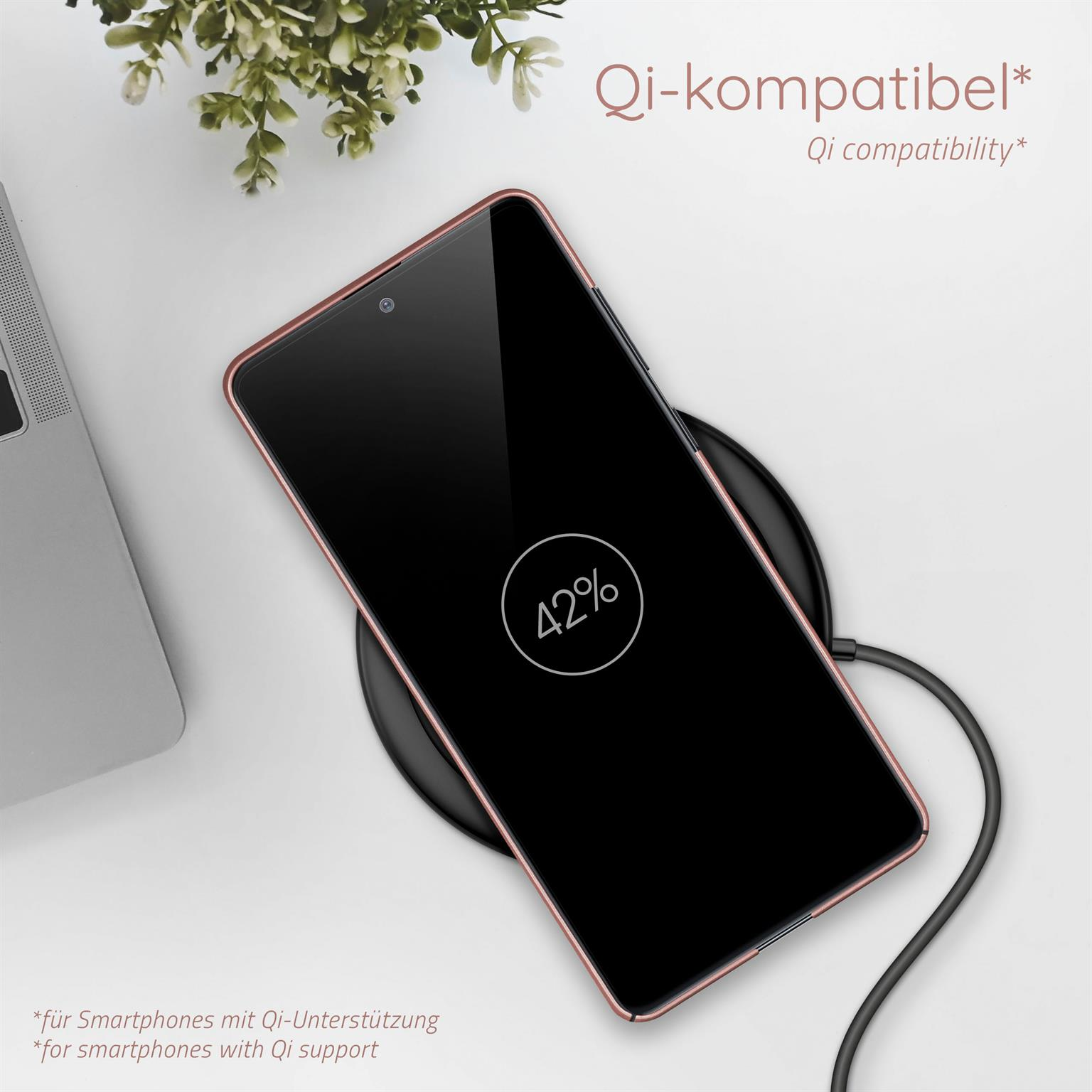 Telefon auf kabellosem Ladegerät, Akku bei 42 %. Weißer Hintergrund, Pflanze links.
