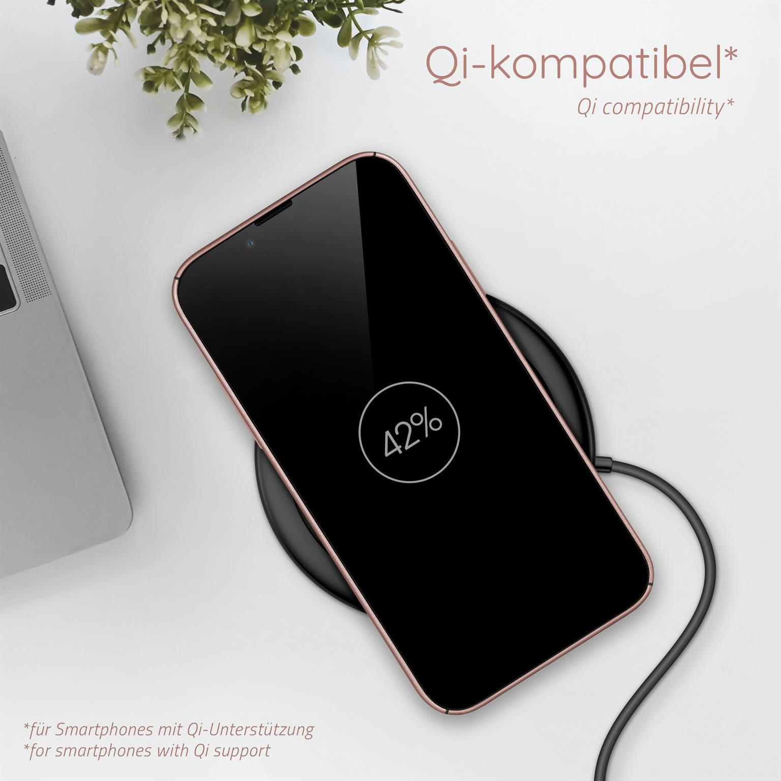 Telefon auf kabellosem Ladegerät, 42% anzeigend. Pflanze im Hintergrund.