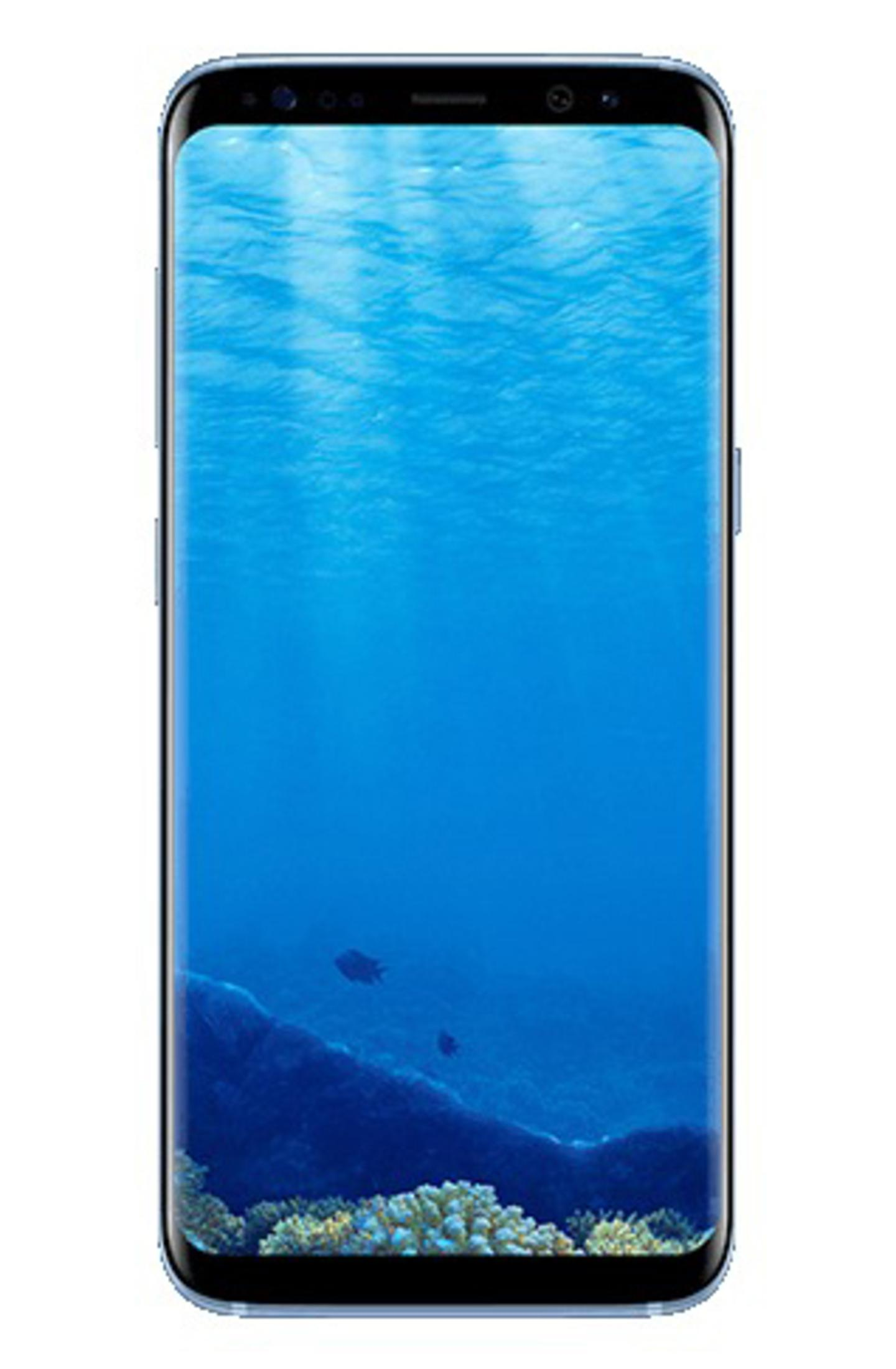 Smartphone-Bildschirm mit Unterwasserszene mit Fischen und Korallen.