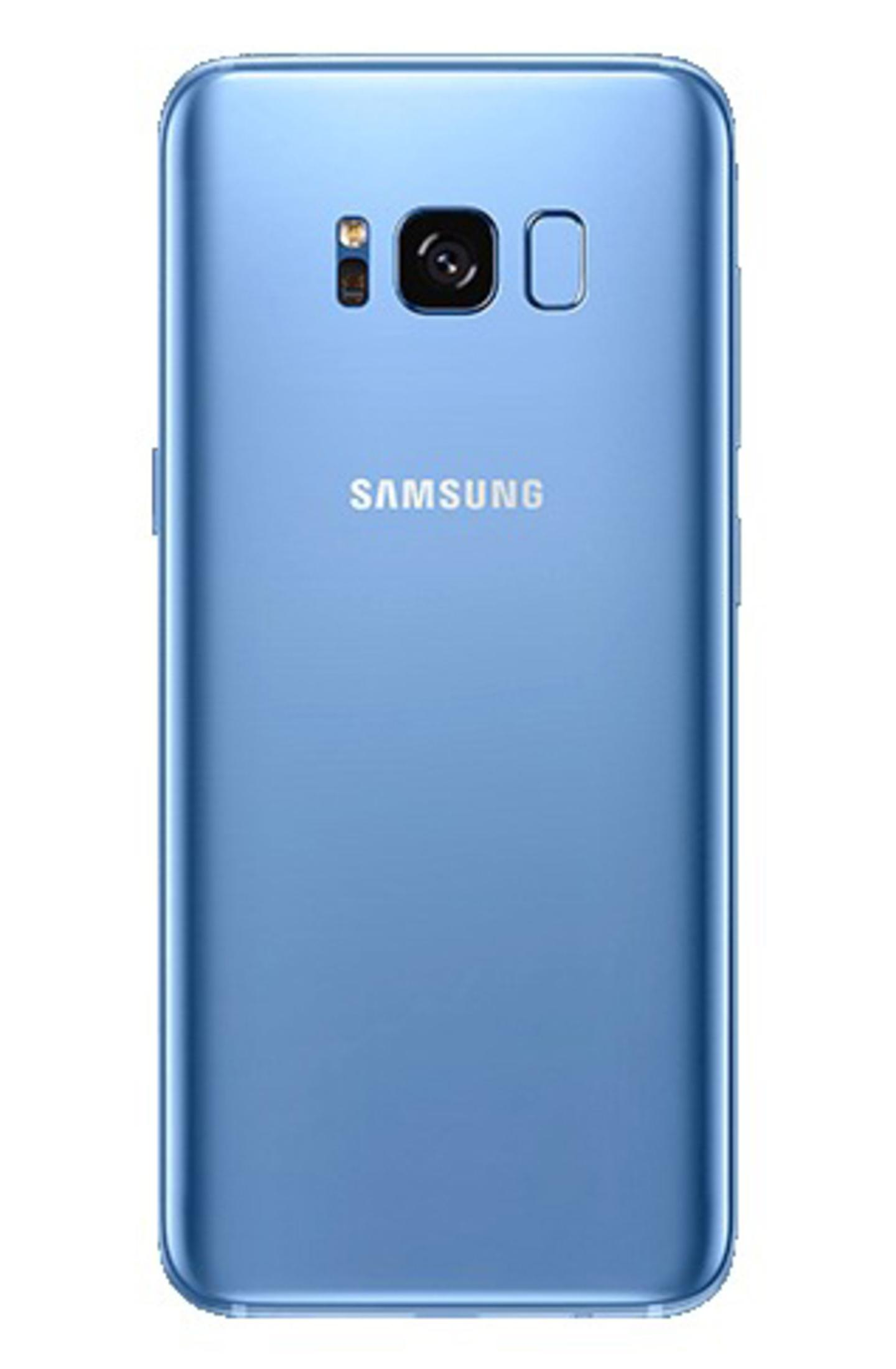 Blaue Samsung-Telefonrückseite. Kamera, Blitz und Fingerabdruckscanner sichtbar. Weißer Hintergrund.