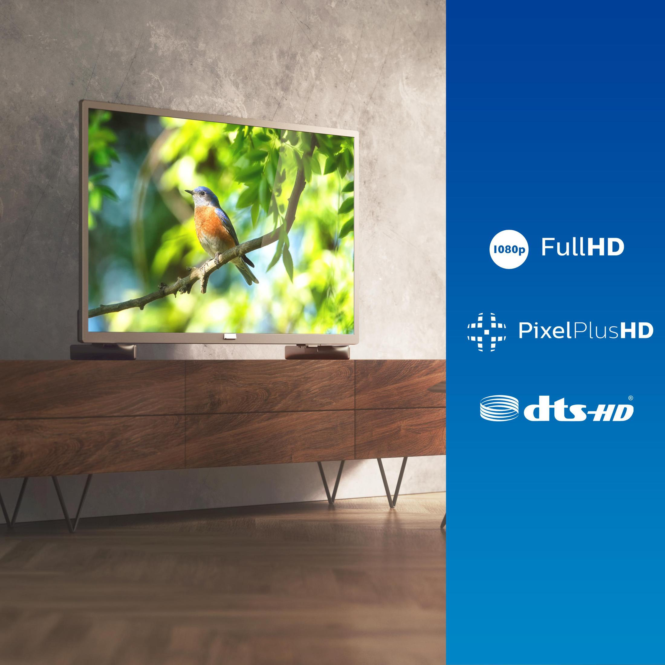 Telewizor na drewnianym stojaku wyświetla niebieskiego ptaka na gałęzi. Informacje: 1080p, PixelPlusHD, dts-HD.