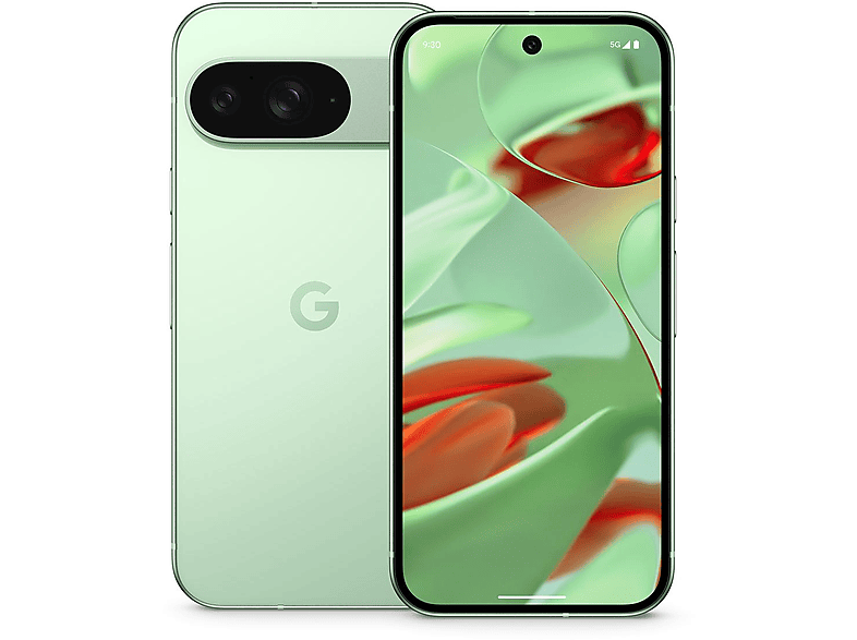GOOGLE PIXEL 9 128GB WINTERGREEN 128 GB Wintergreen Dual SIM