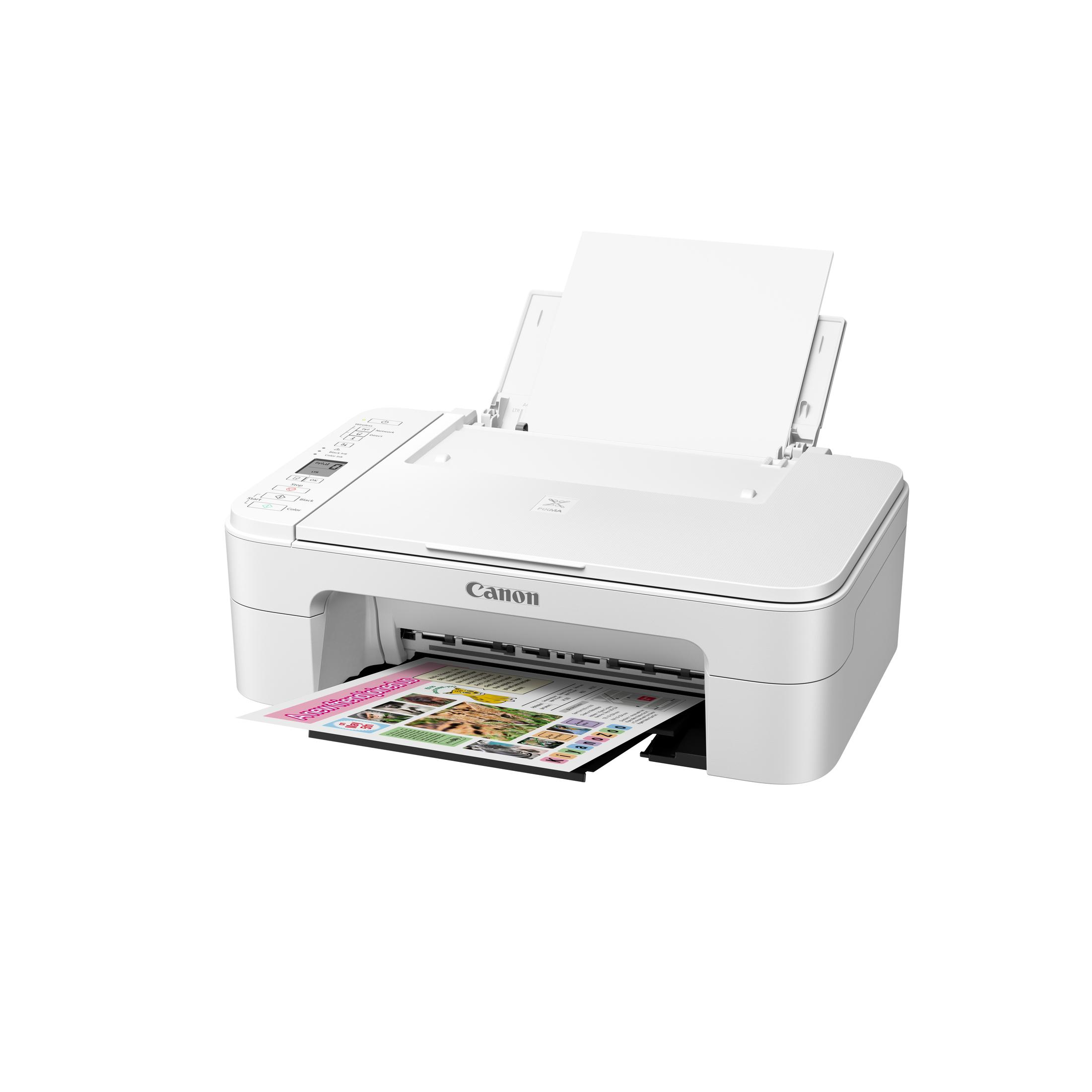 Una stampante Canon bianca stampa un documento a colori con testo e immagini.