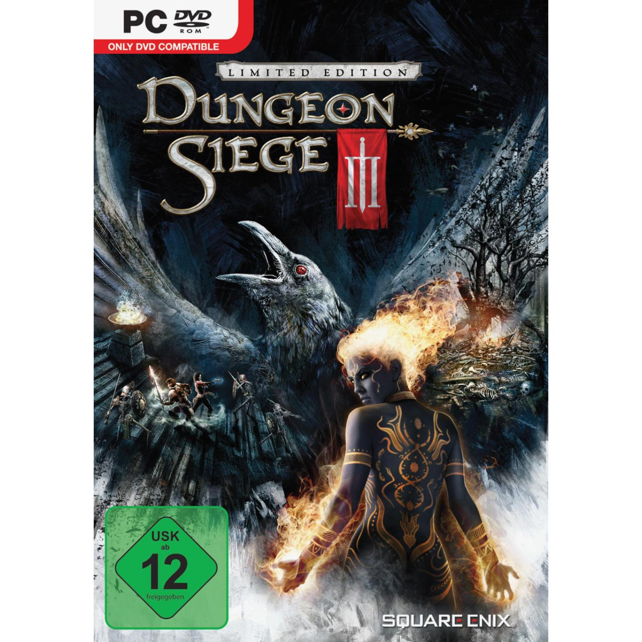 Dungeon Siege-Spielbox. Eine Fantasieszene eines Kriegers mit Flammen, einem Raben und einer Burg.