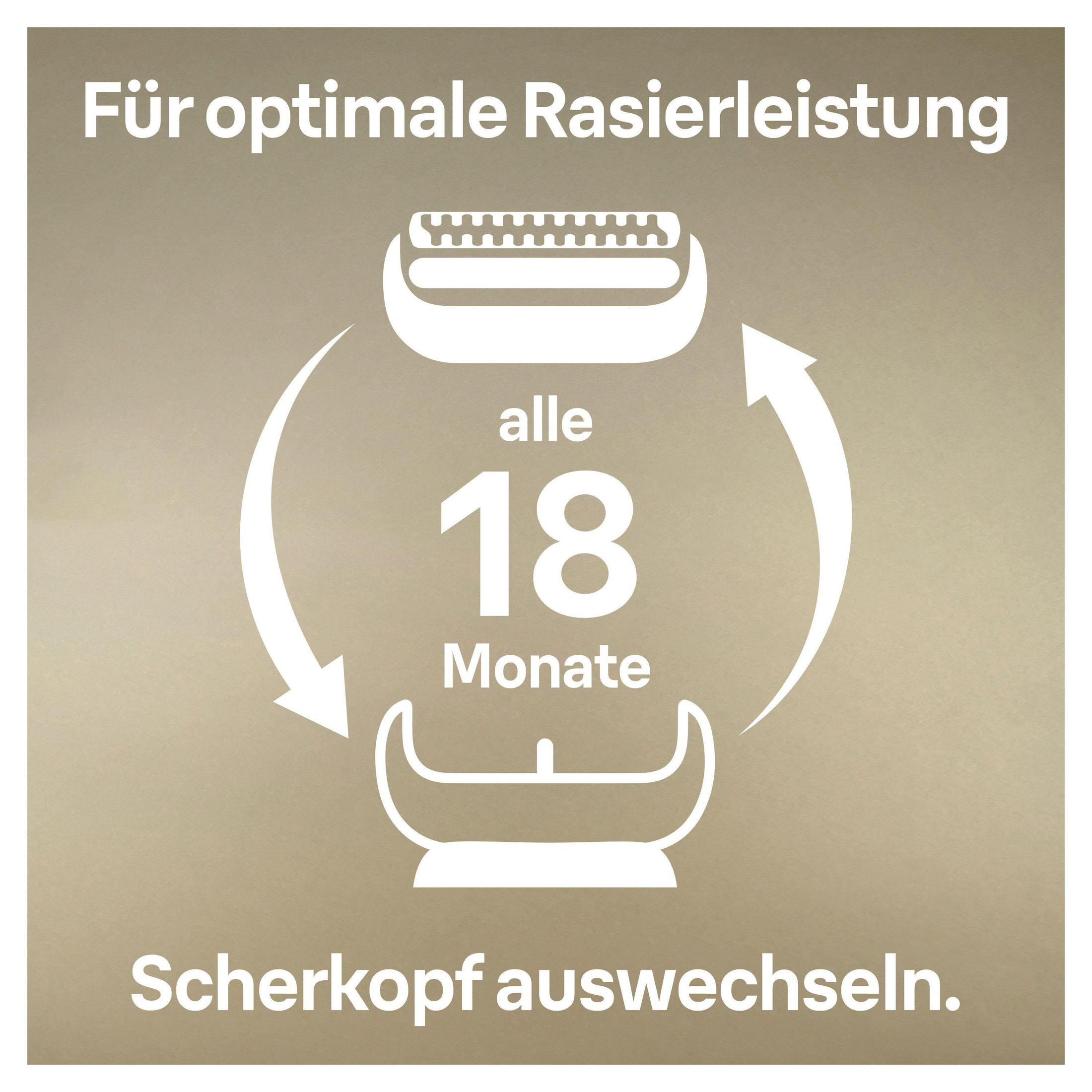 Diagramm, das den Scherkopfersatz alle 18 Monate zeigt. Weiße Pfeile und Text auf beigem Hintergrund.