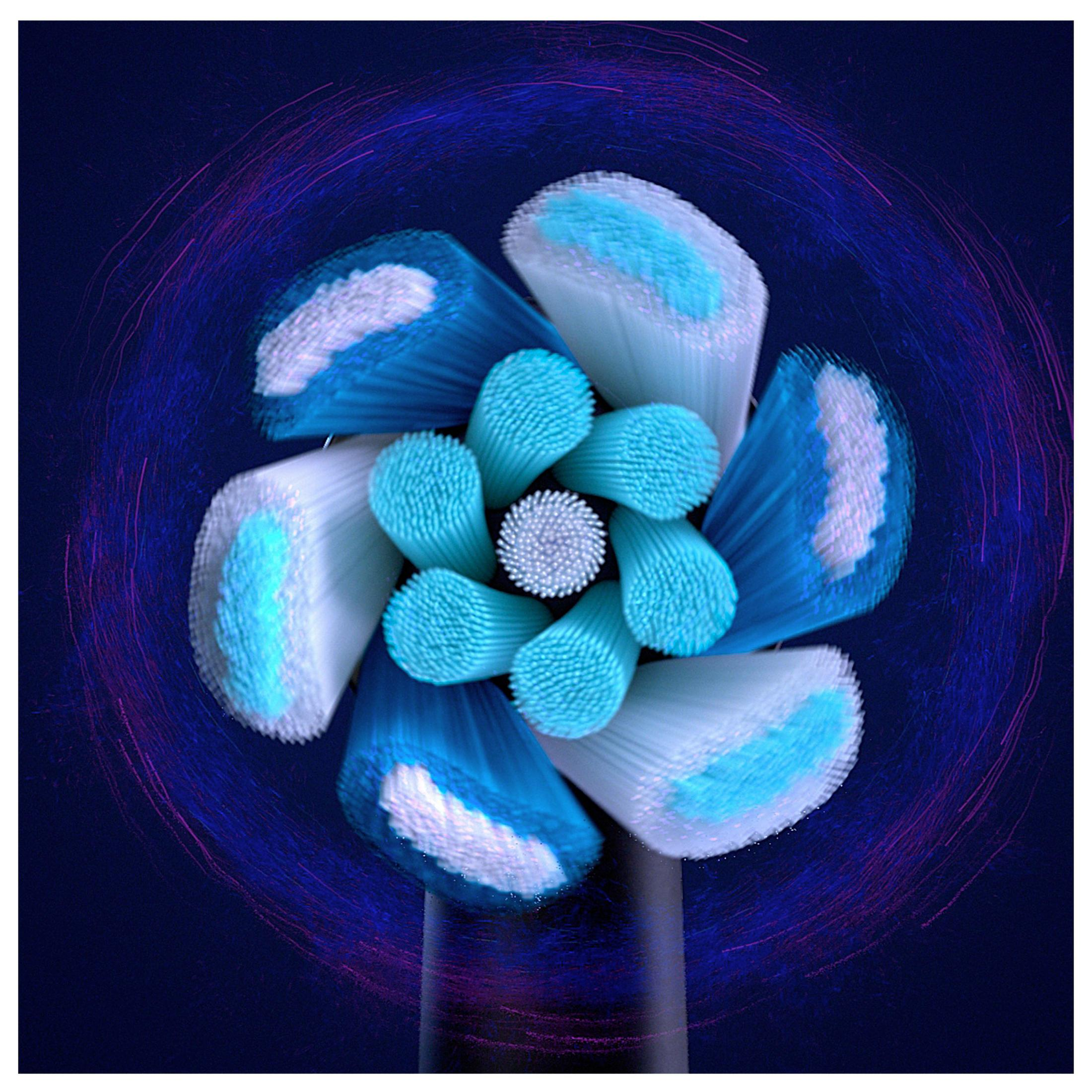 Primo piano della testina di uno spazzolino con setole blu e bianche.