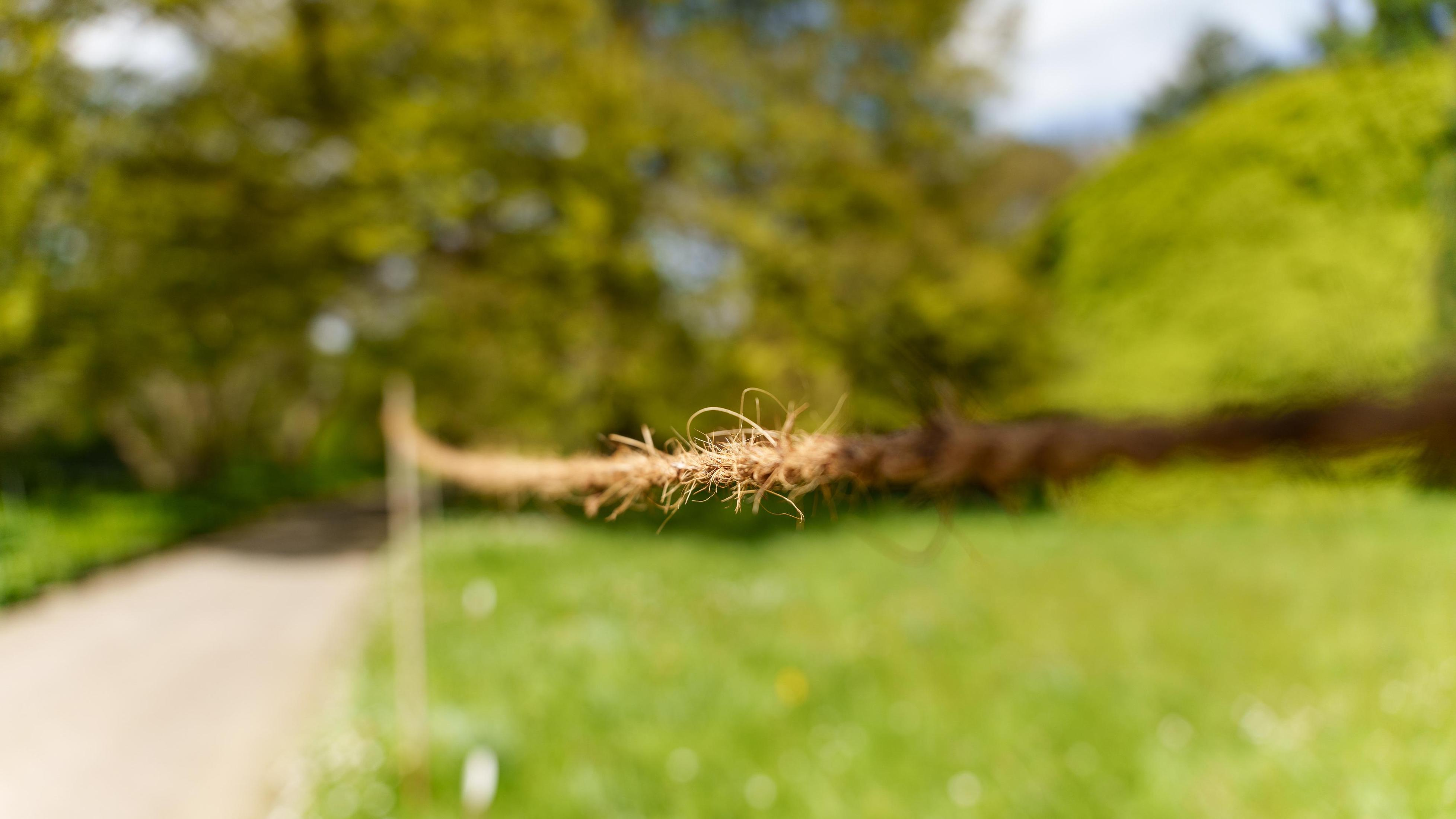 Zbliżenie liny rozciągniętej na rozmytym zielonym tle drzew i ścieżki.
