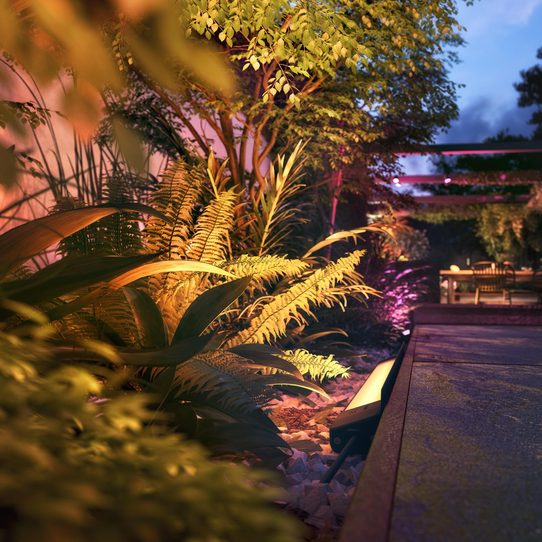 Eine Gartenszene, beleuchtet mit warmen Lichtern. Pflanzen, Bäume und ein Weg sind sichtbar.