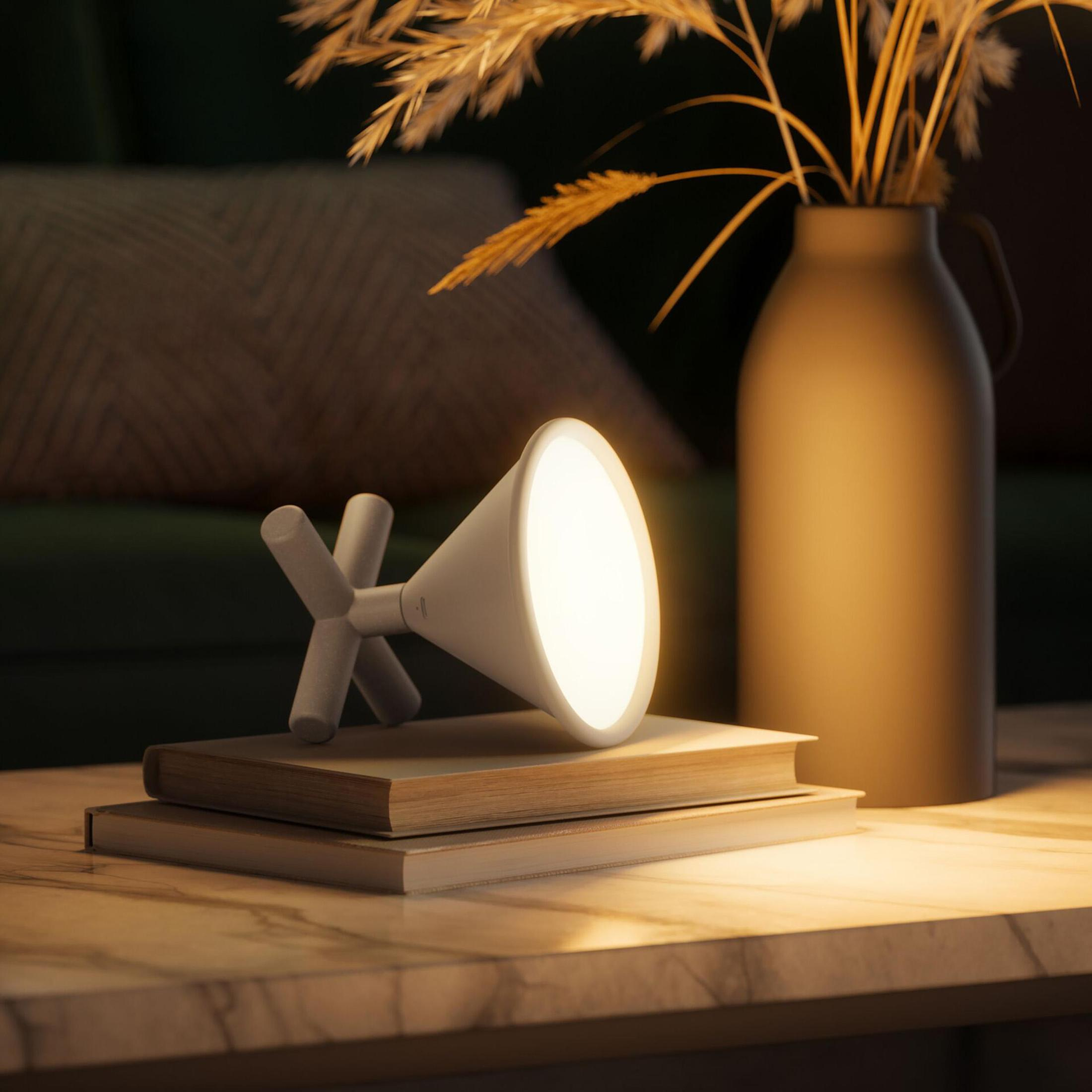 Lampada bianca a forma di cono su libri, con un vaso e fiori secchi.