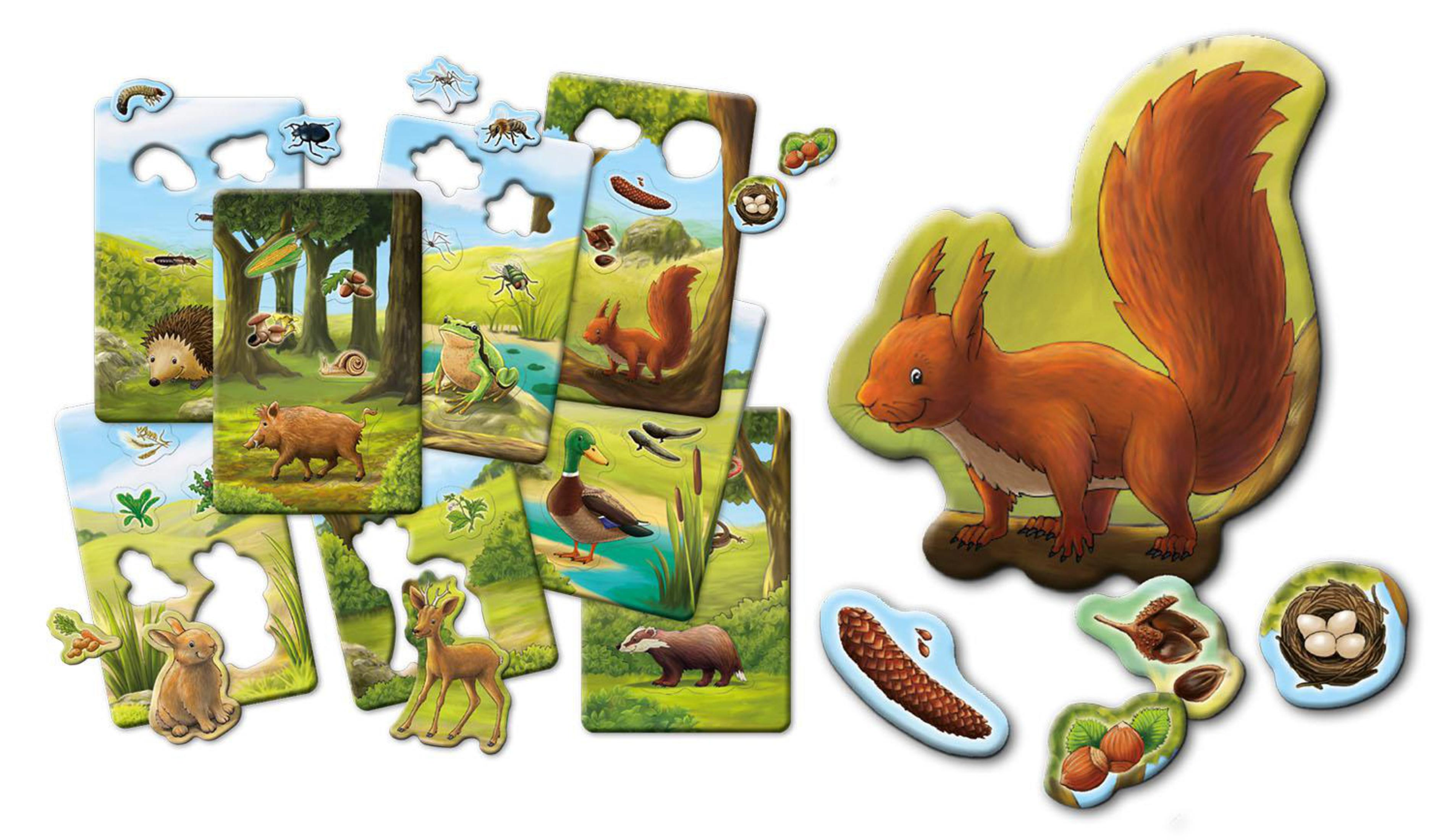 Kinderspiel-Puzzleteile mit Waldtieren, einem Eichhörnchen und einer Seeszene.