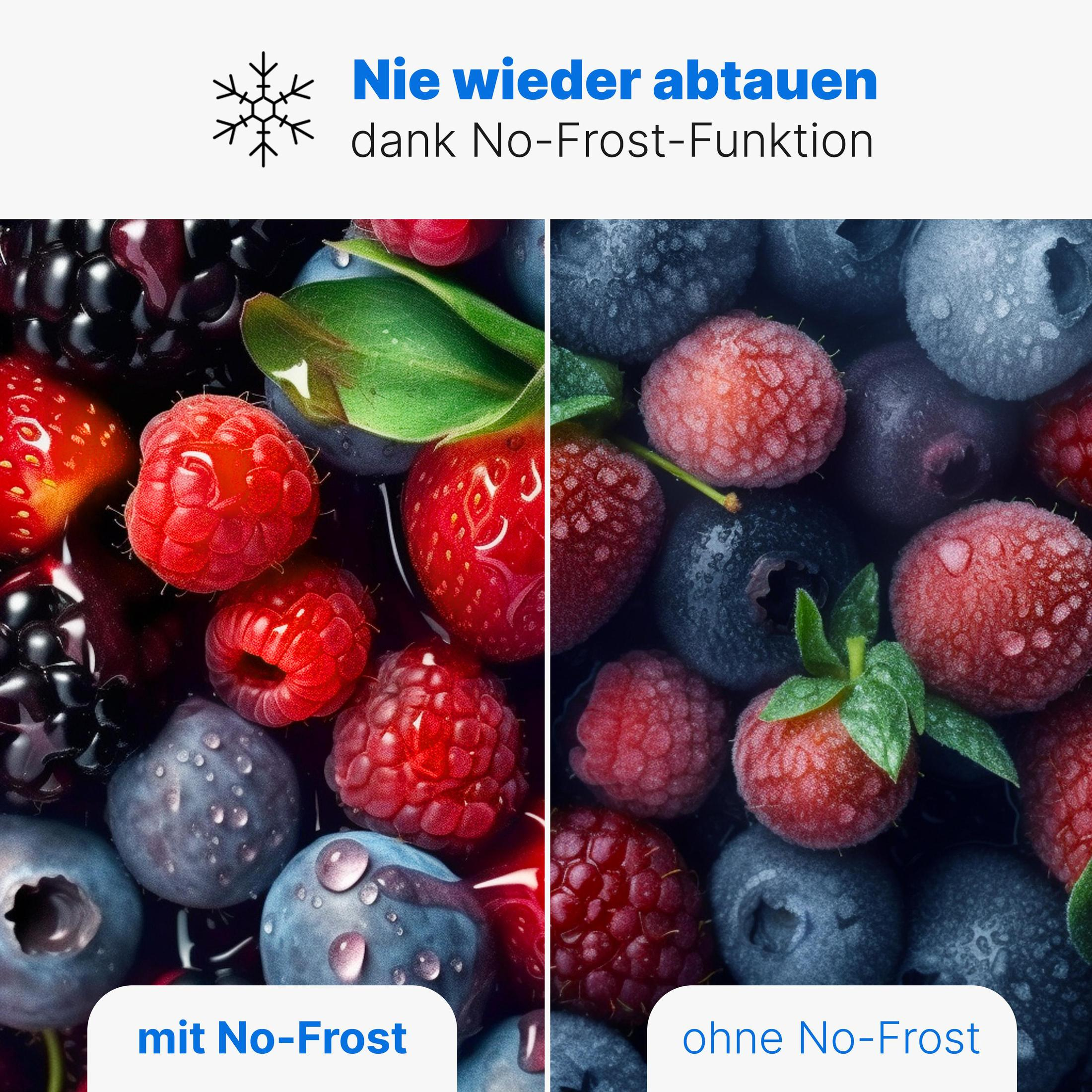 Beeren, mit und ohne No-Frost. Rechte Seite zeigt Beeren mit Frost, links ohne, zeigt einen Vergleich.