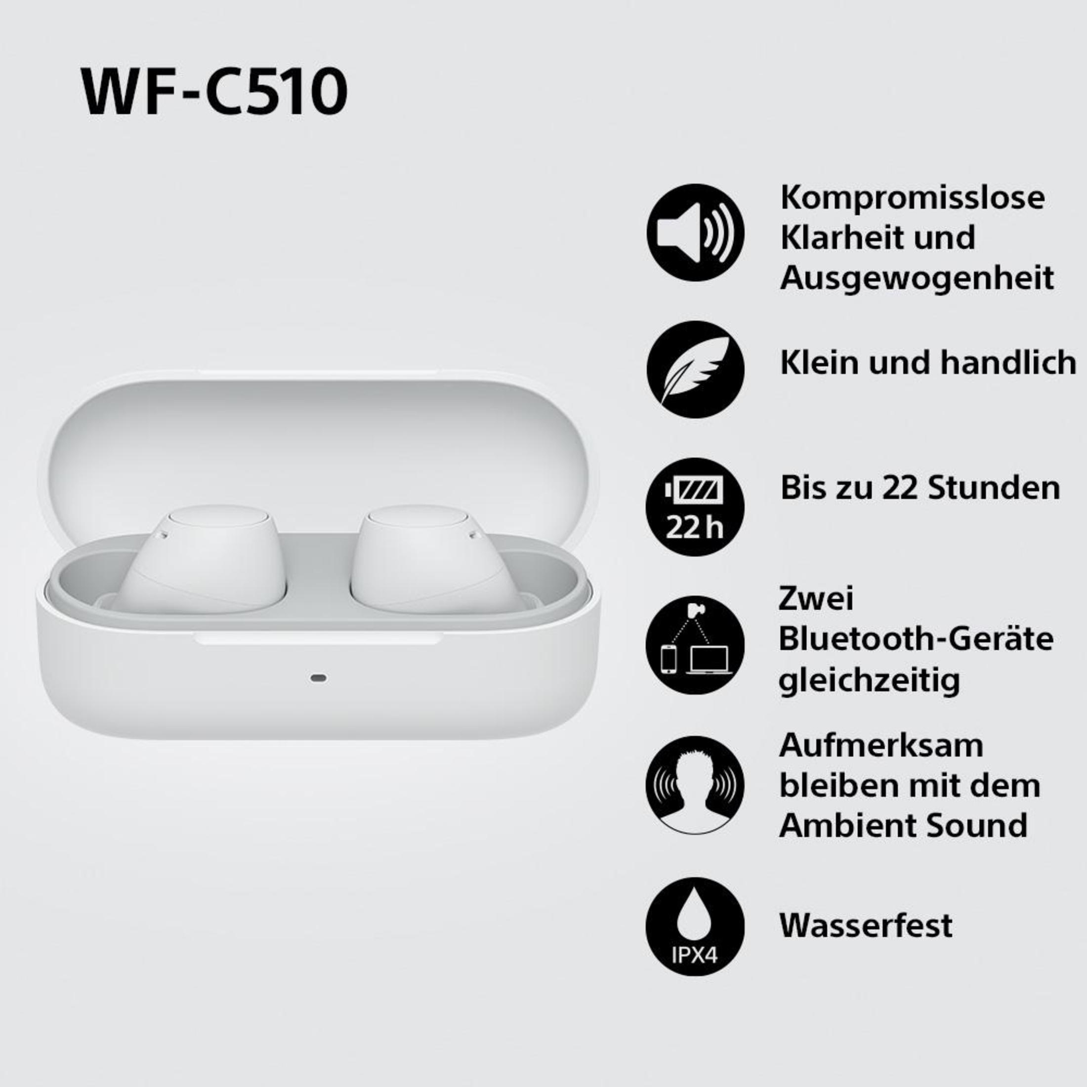 Weiße Ohrhörer in weißem Case mit Icons, Text: Kompromisslose Klarheit usw.