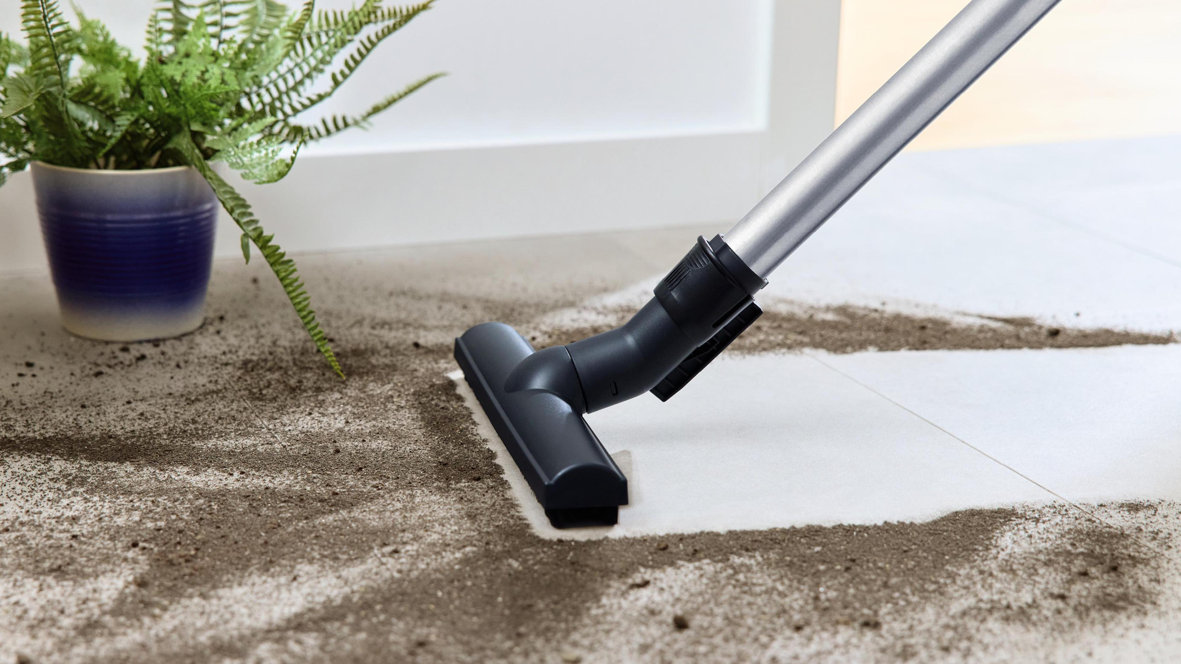 Głowica odkurzacza czyszcząca brudną, białą podłogę. Brud i roślina w tle.
