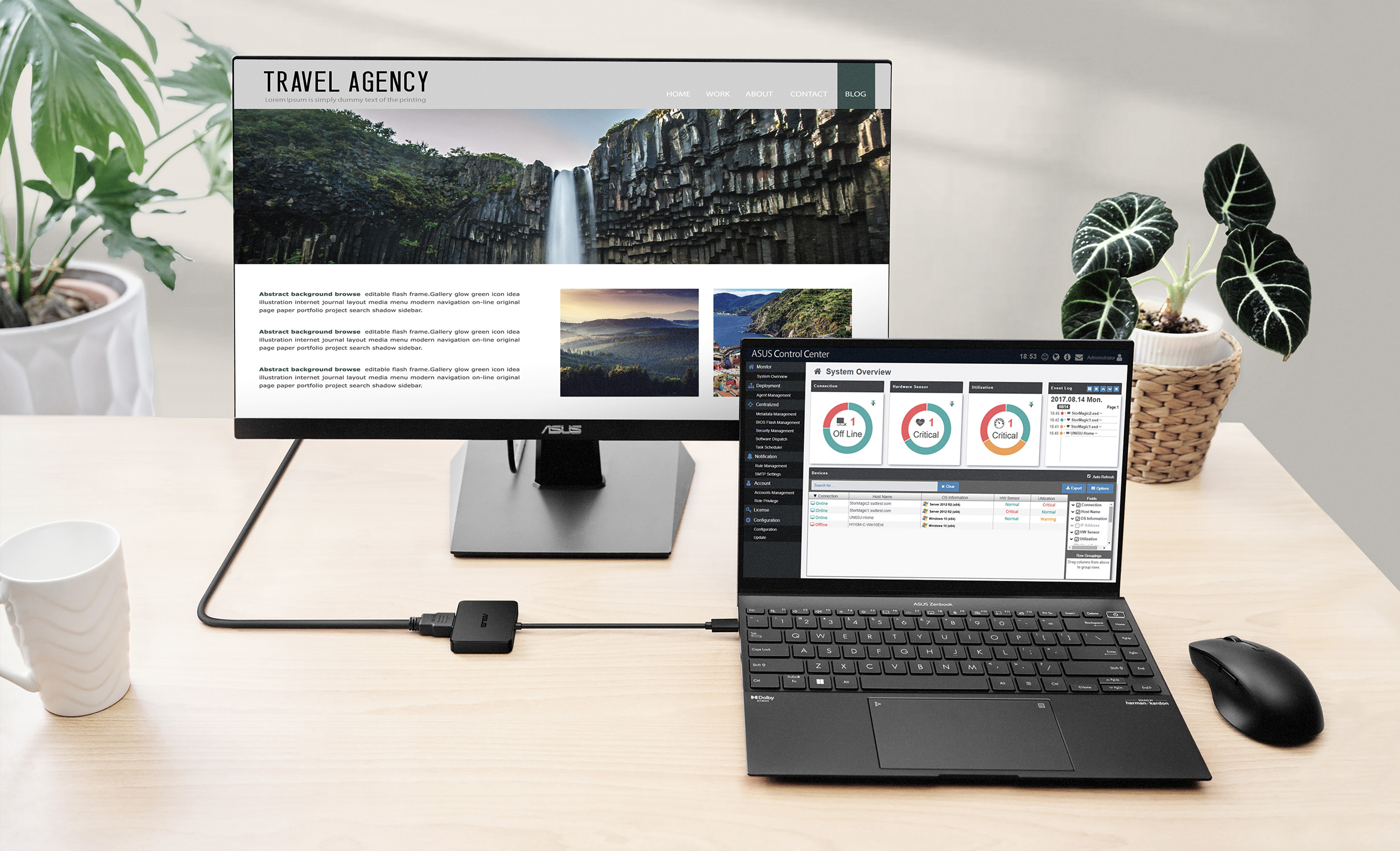Workspace with a monitor, laptop, mouse, and plants. Website display on the monitor and a system overview on the laptop.
