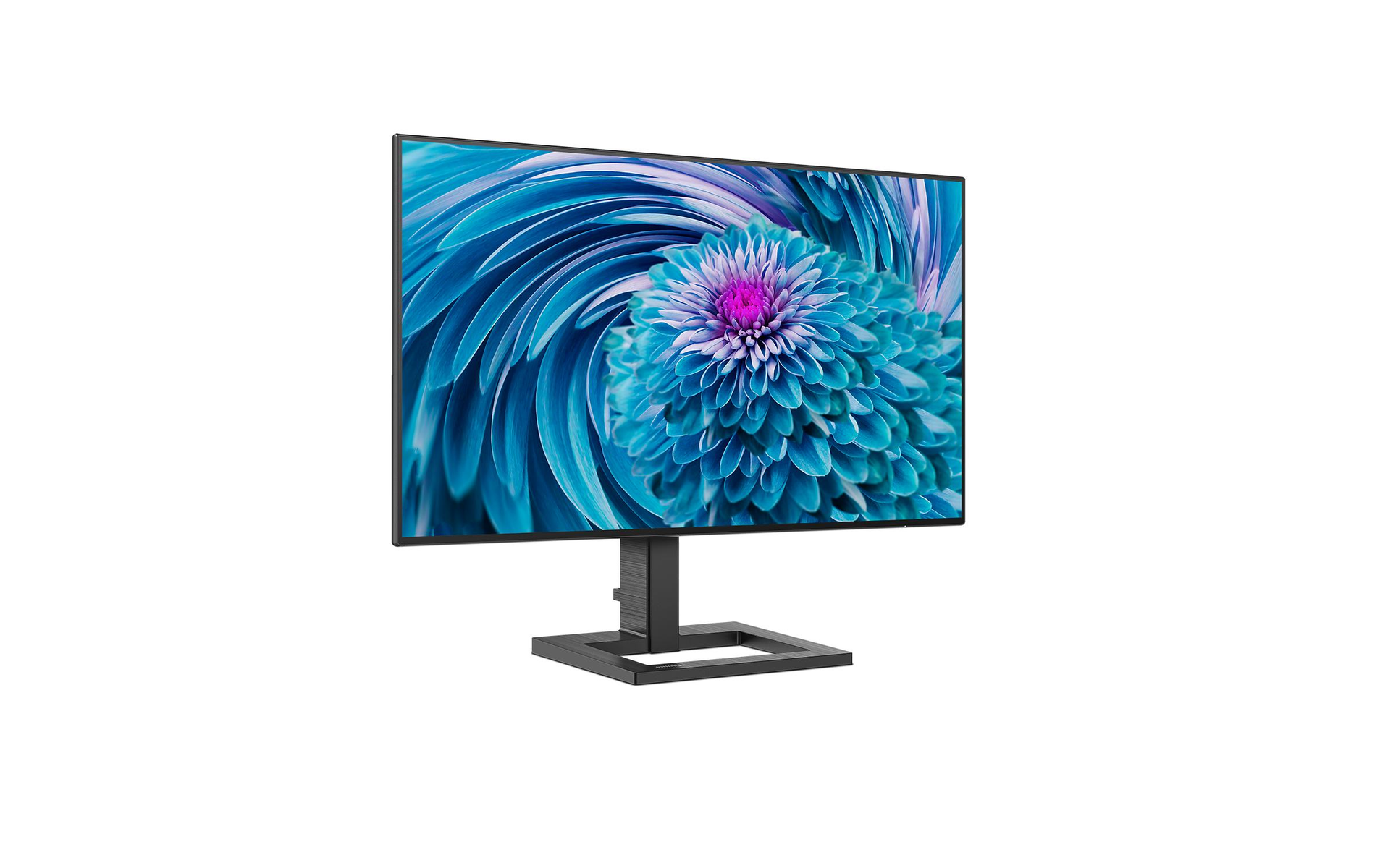 Monitor che mostra un fiore blu e viola, supporto nero, sfondo bianco.