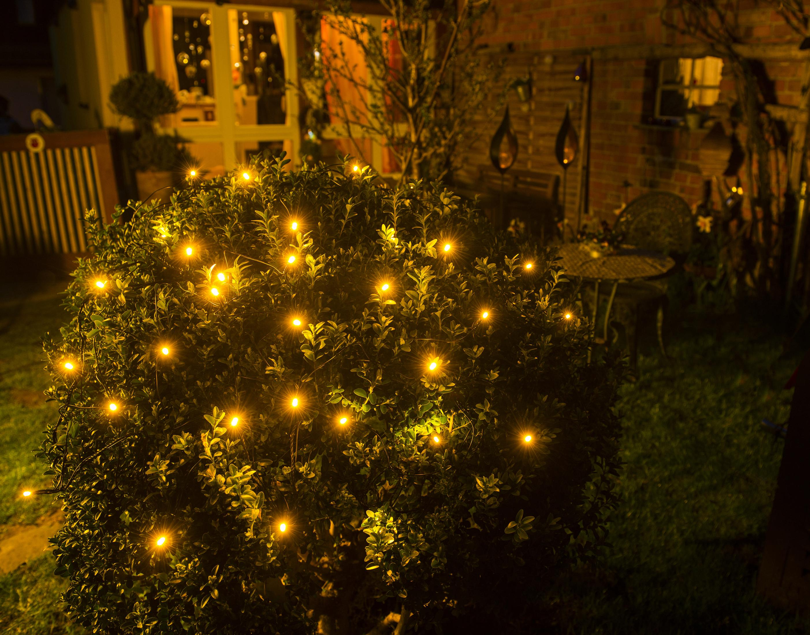 Ein mit kleinen gelben Lichtern bedeckter Busch in einem Garten bei Nacht.