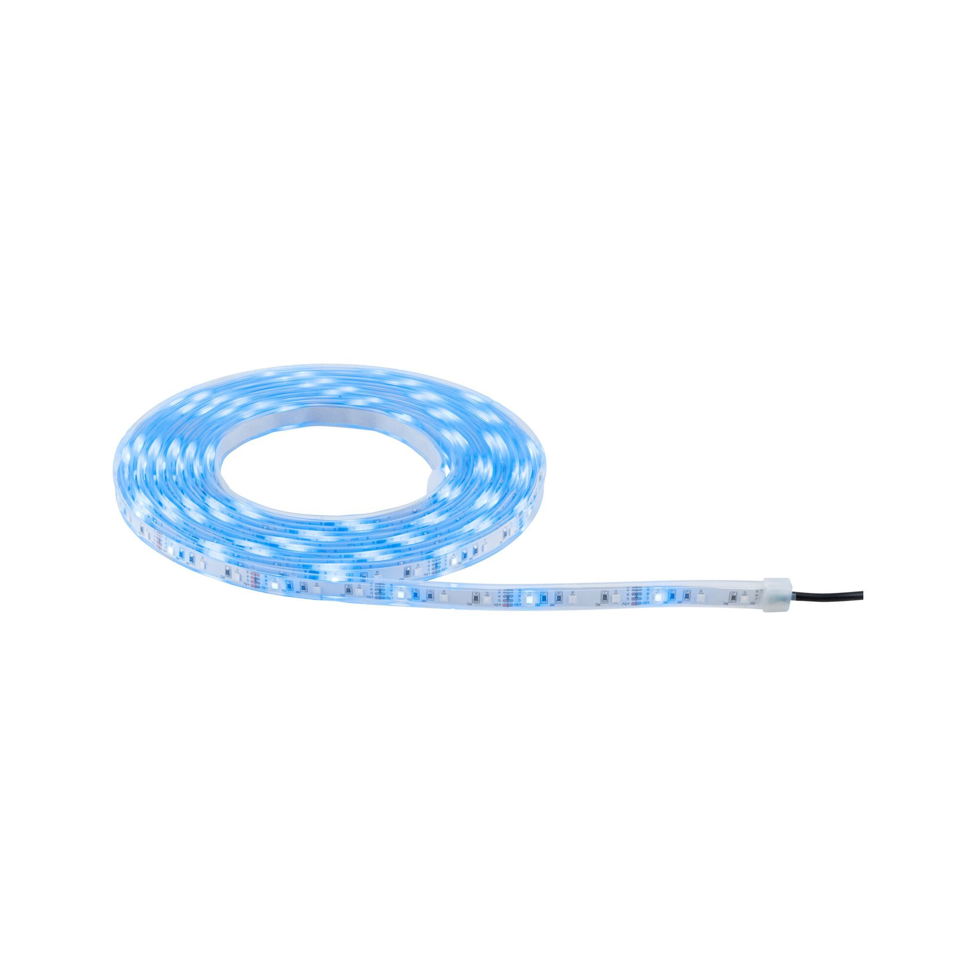 Gerollte blaue LED-Streifen, bereit für die Installation und Verwendung.