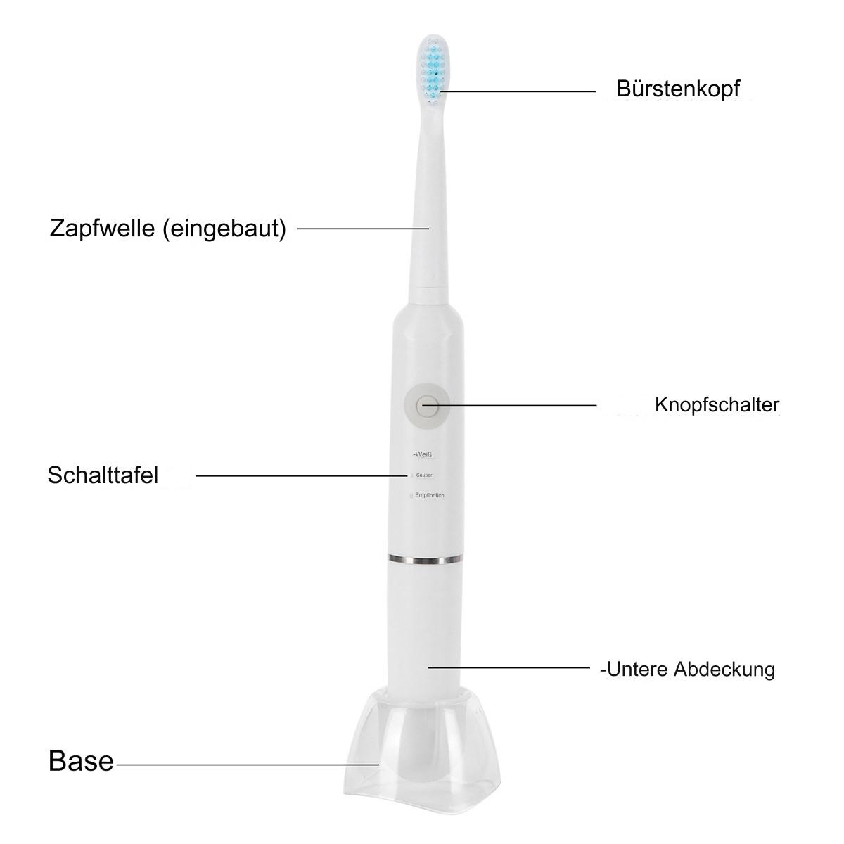 Weiße elektrische Zahnbürste mit blauen Borsten auf einer transparenten Basis. Beschriftete Teile auf Deutsch.