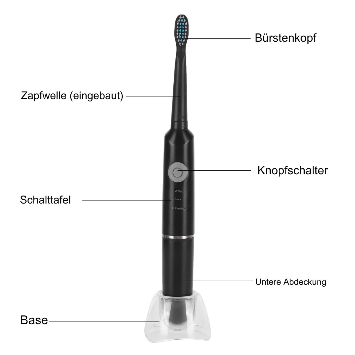 Elektrische Zahnbürste mit Beschriftungen der Teile. Schwarzer Körper, weiße Basis und blauer Bürstenkopf.