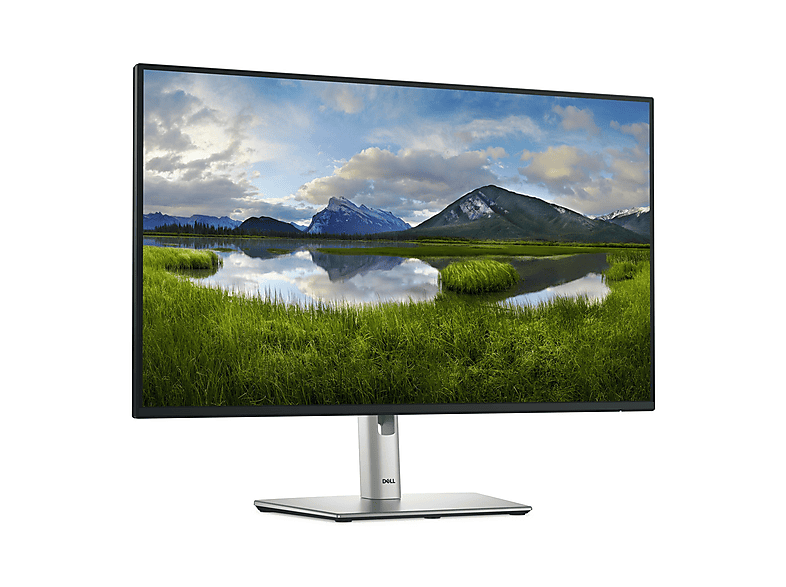 DELL P2725H 27 inç Full-HD 8 ms 60 Hz Monitör Gri Fiyat & Özellik