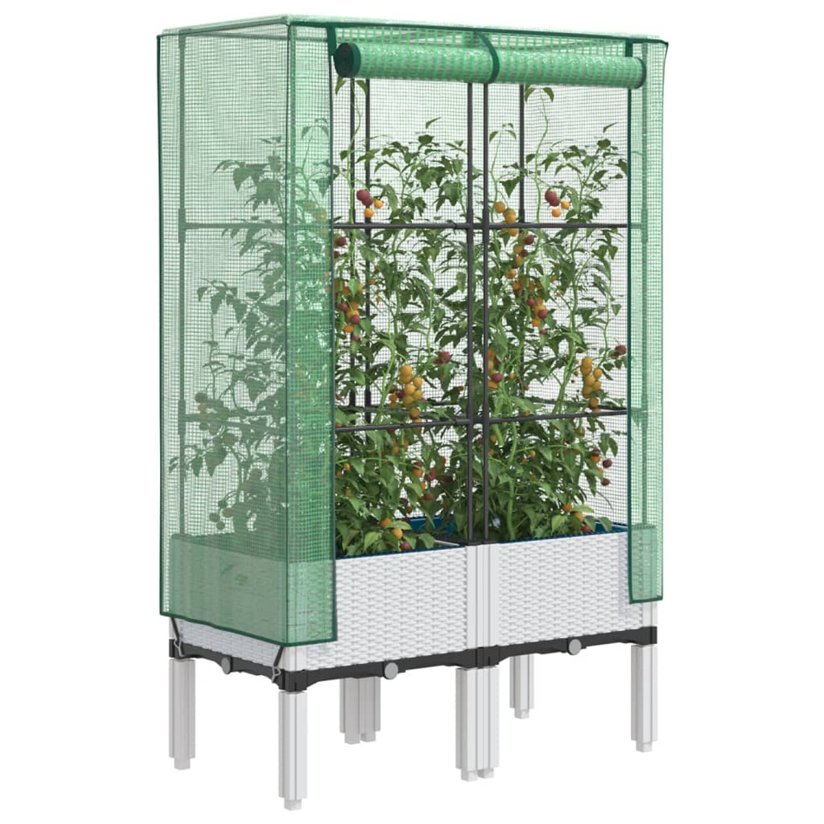 Serra verde con piante di pomodoro. Ha base bianca e rete verde. Le piante sono fruttifere.