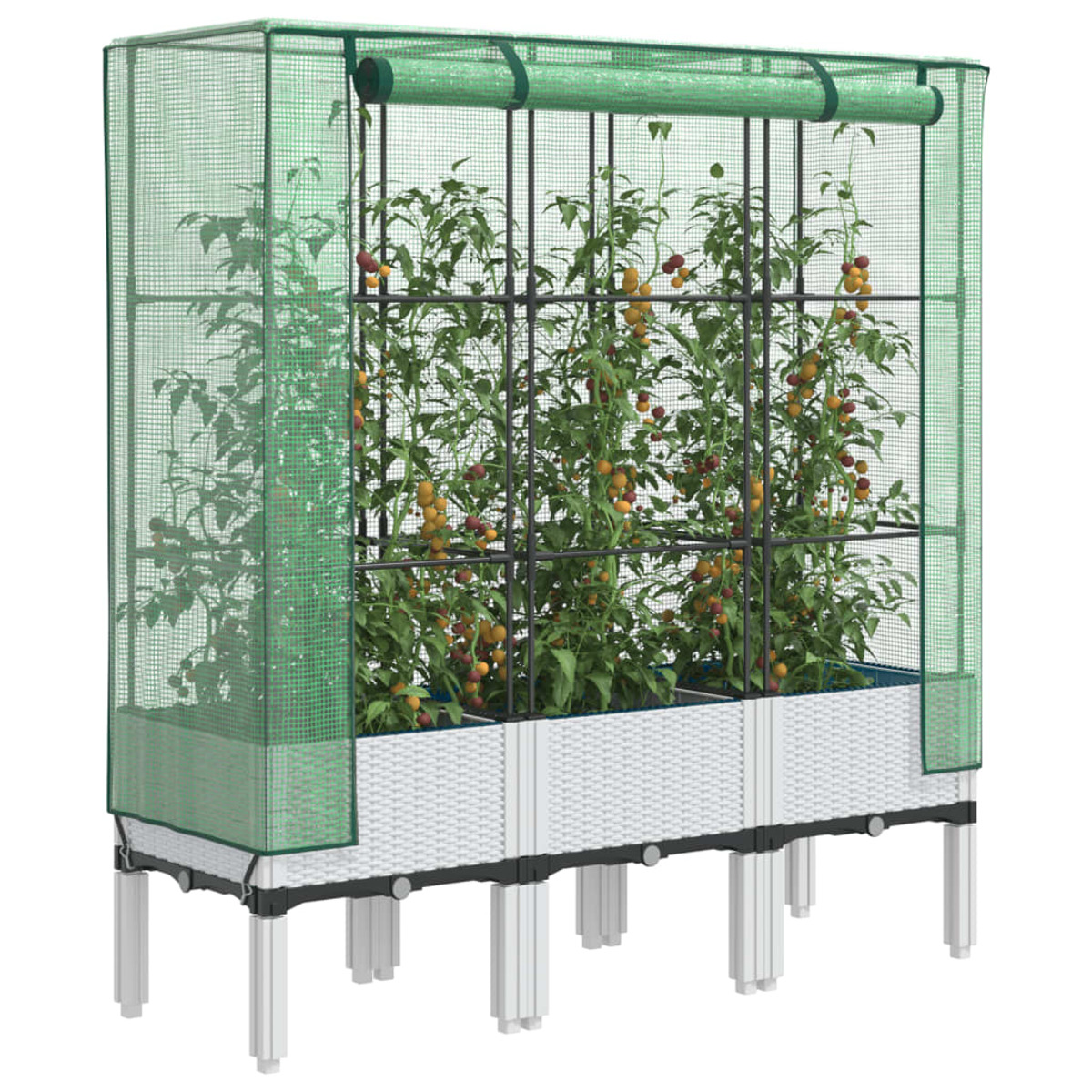 Serra con piante di pomodoro. Base bianca, rete verde e telaio nero.