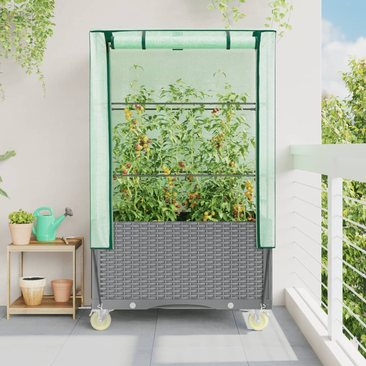 Un portapiante a rete verde con piante di pomodoro su un balcone, con un annaffiatoio nelle vicinanze.
