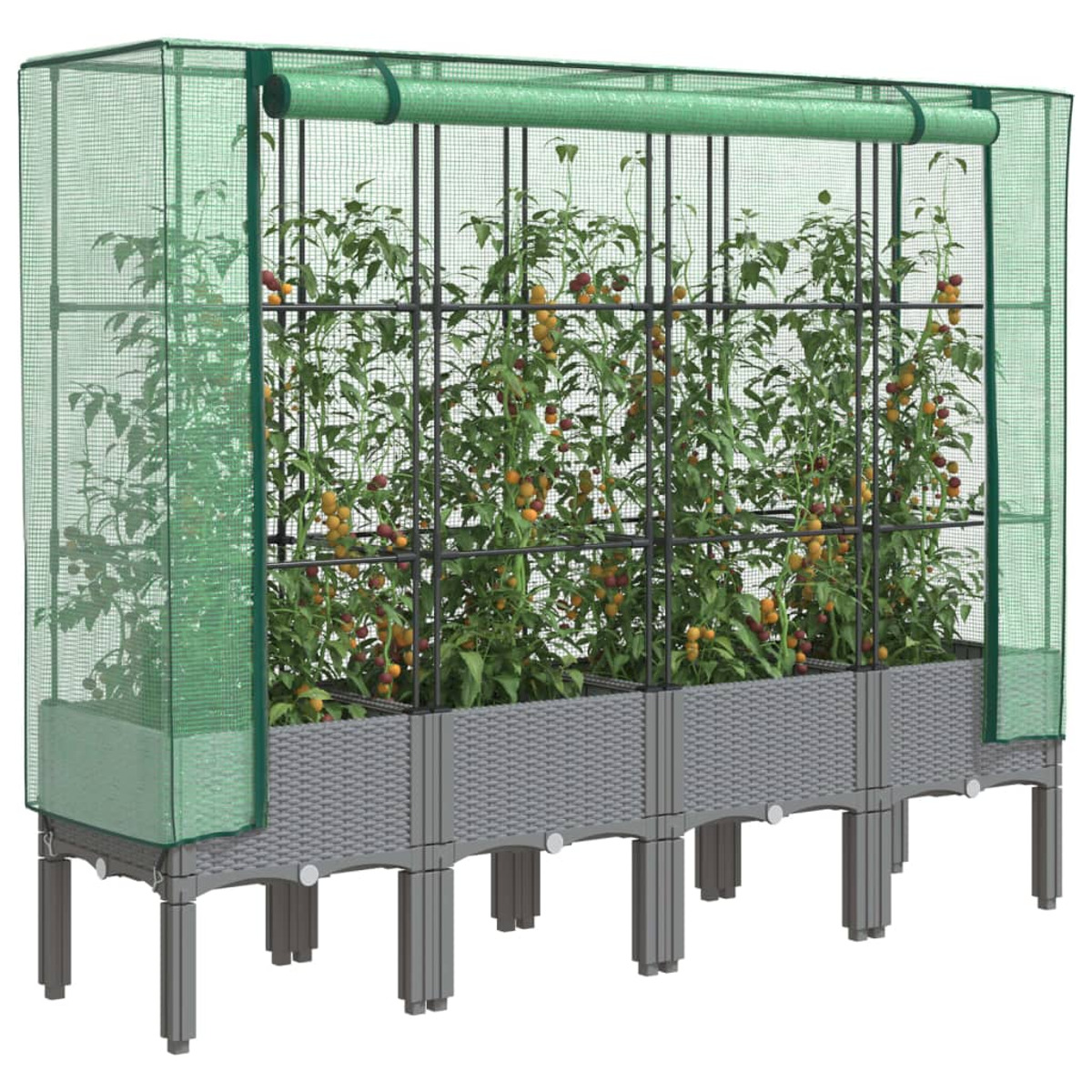 Serra con pomodori in crescita. Cornice e base grigie. La rete verde copre la parte superiore e i lati.