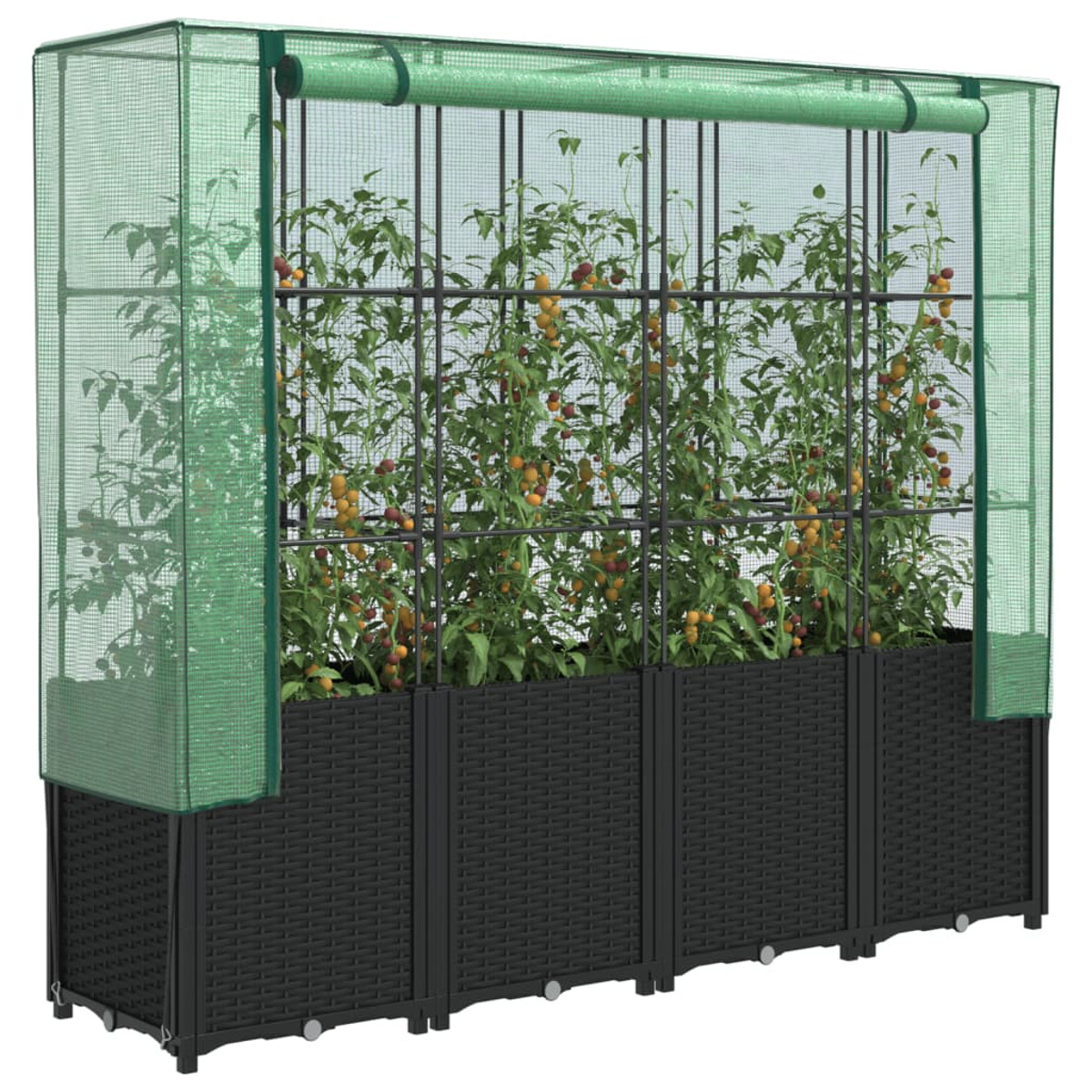 Serra con pomodori in crescita. Struttura in metallo nero. Materiale tessuto grigio scuro.