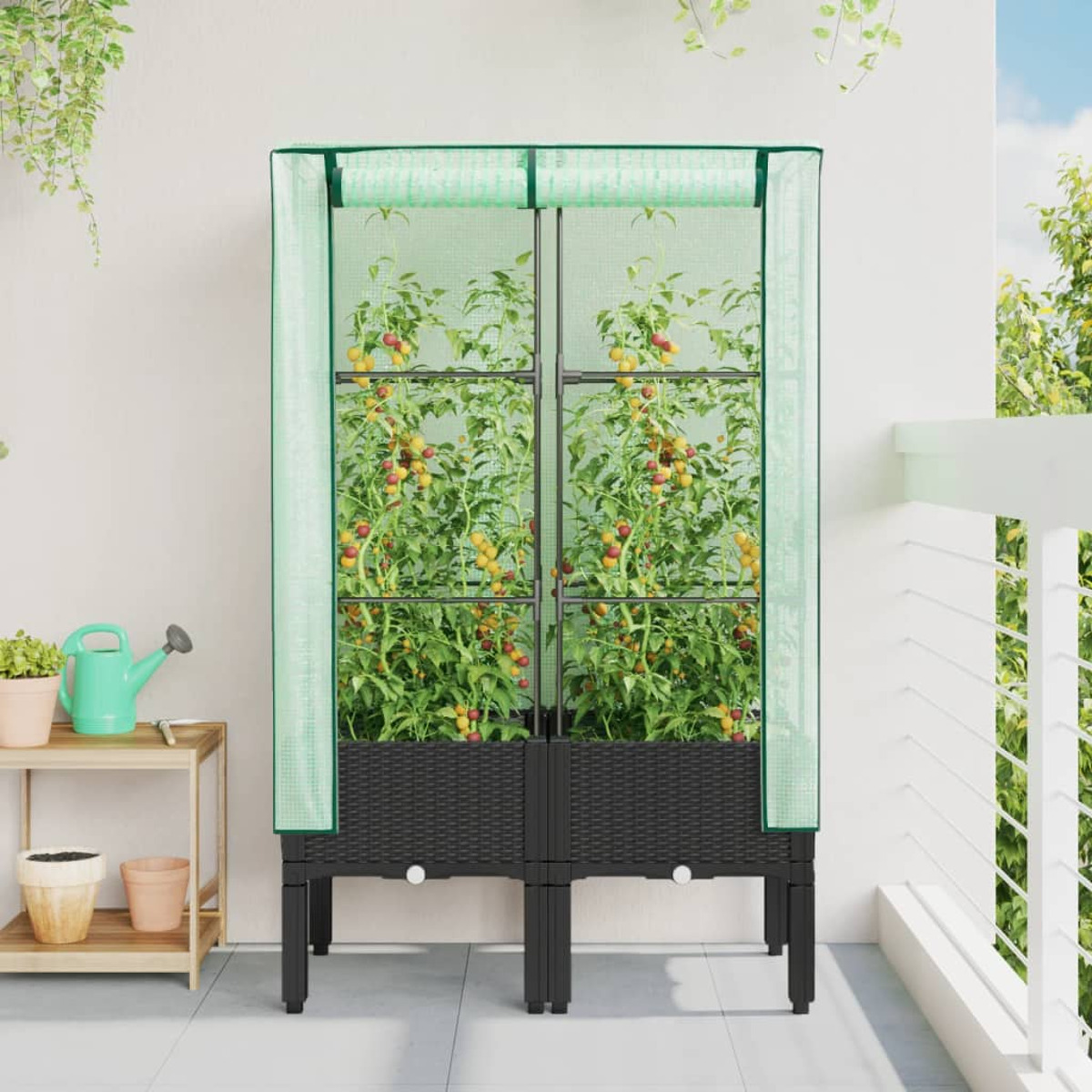 Serra con piante. Rete verde. Cornice nera con piante all'interno. Sfondo balcone.