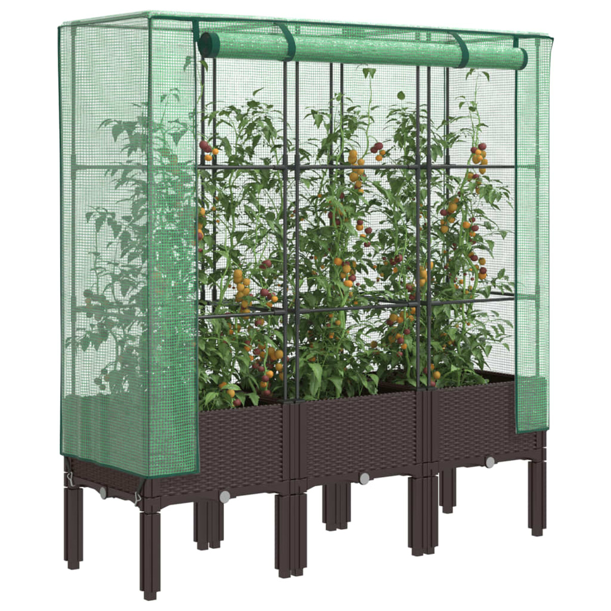 Serra con pomodori, rete verde, base marrone. Piante all'interno, coltivate in file, visibili attraverso la rete.