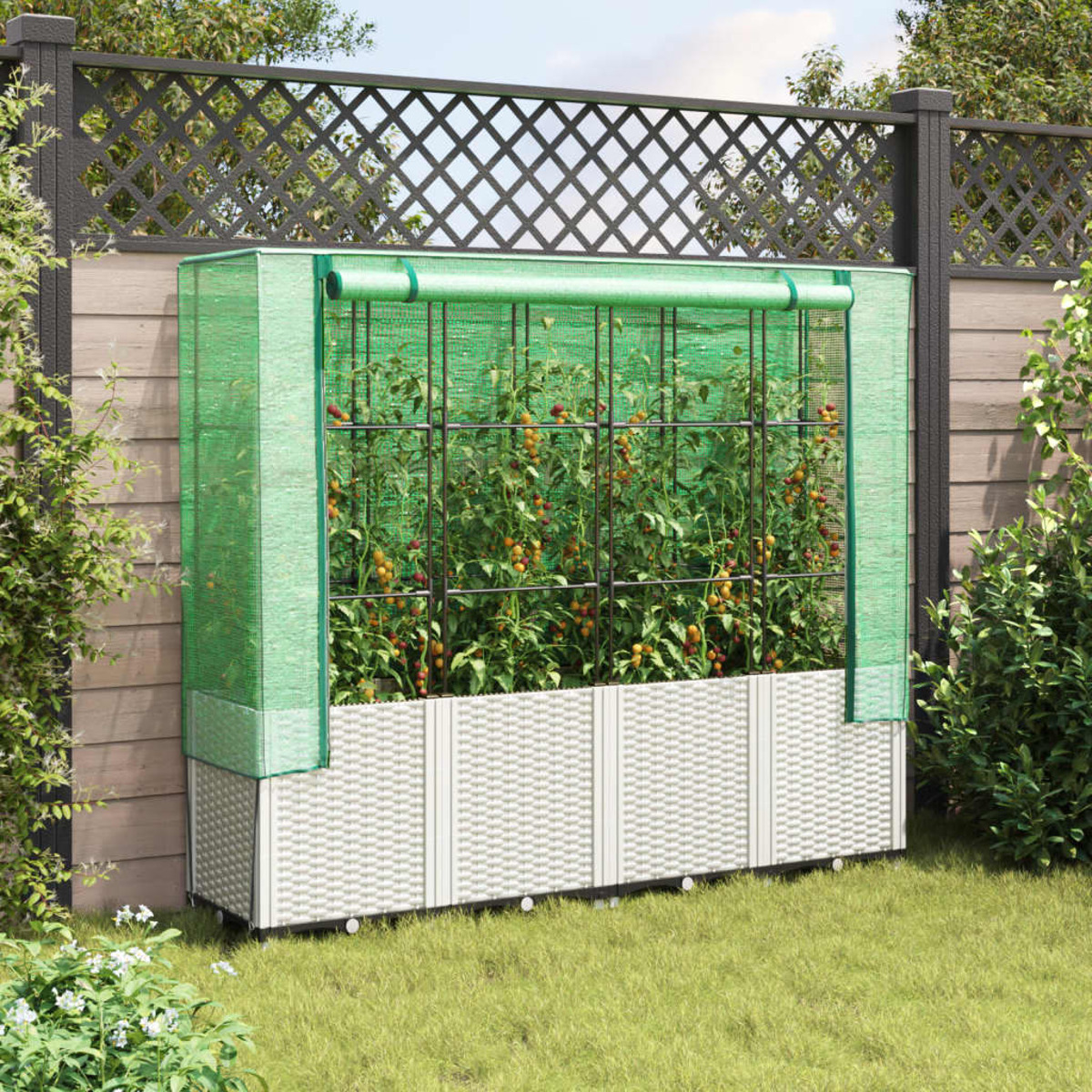 Serra verde con pomodori. È in un giardino con una recinzione di legno ed erba verde.