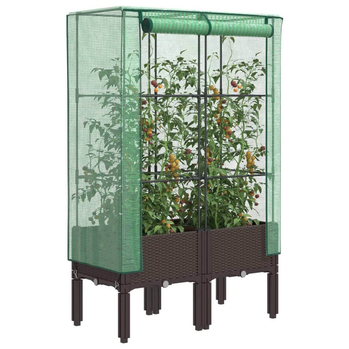 Una serra verde con piante di pomodoro. Aiuole rialzate marroni sostengono le piante.